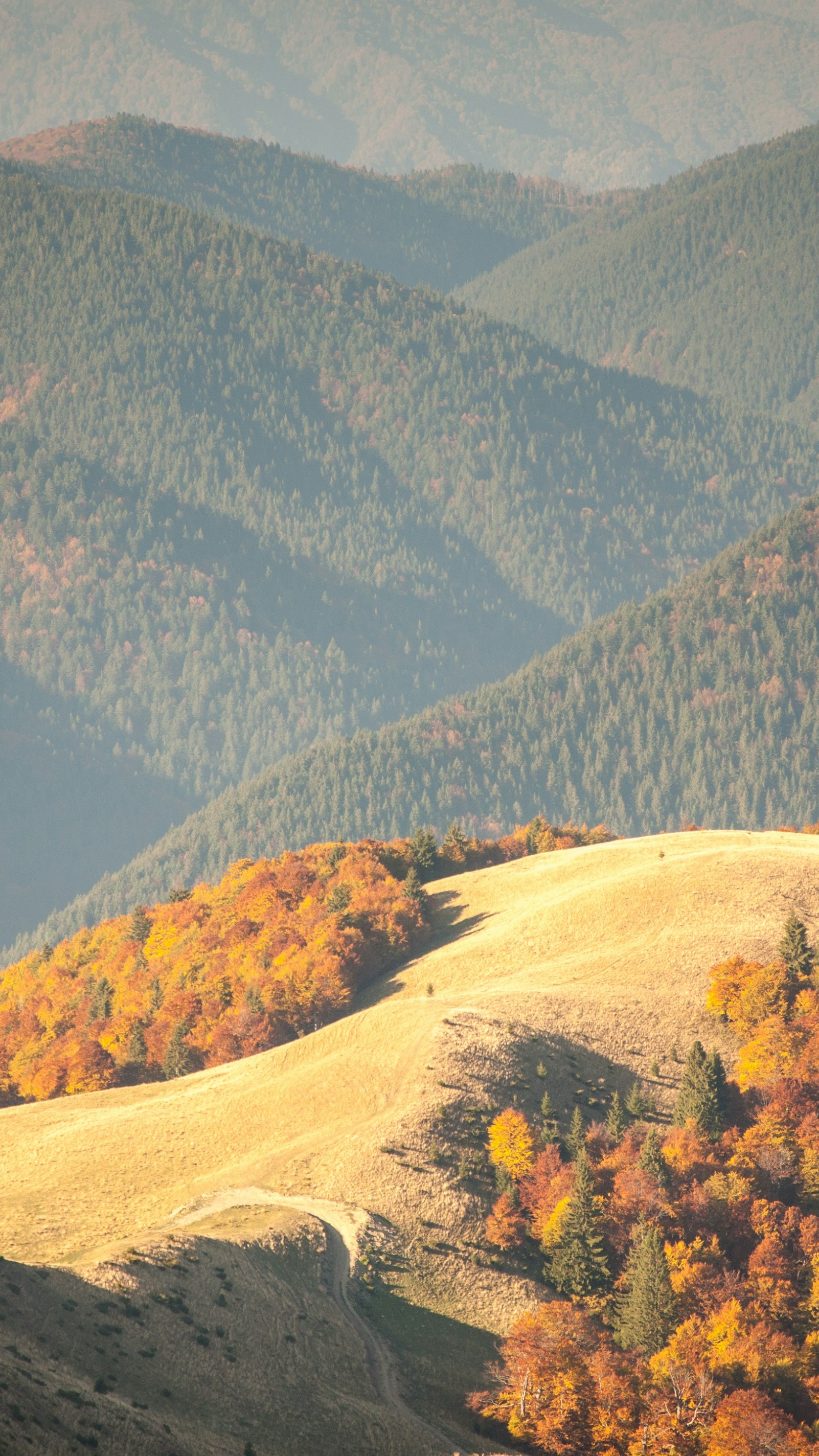 Autumn Mountain Landscape