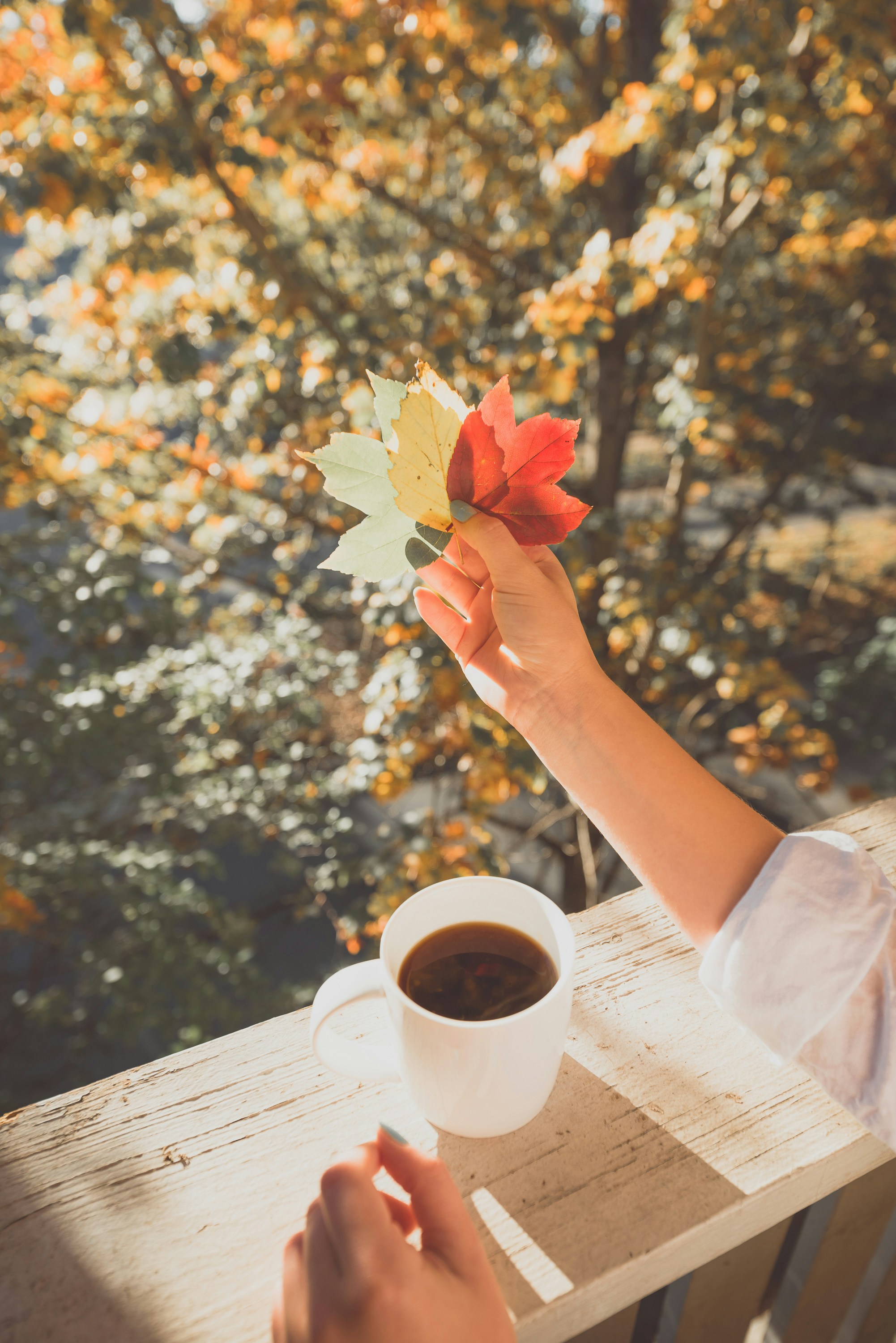 Autumn Morning with Coffee and Leaves