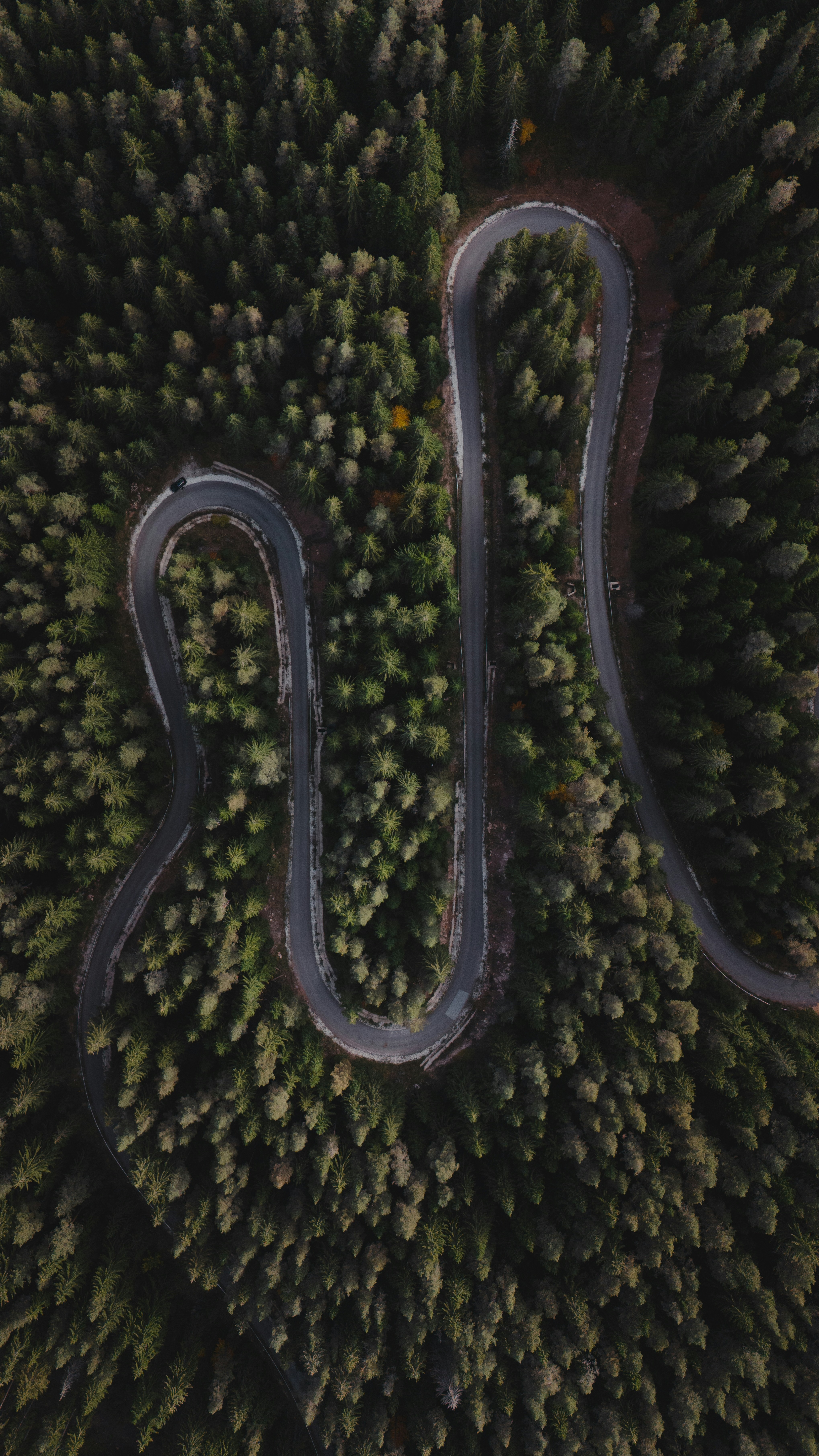 Wallpapers