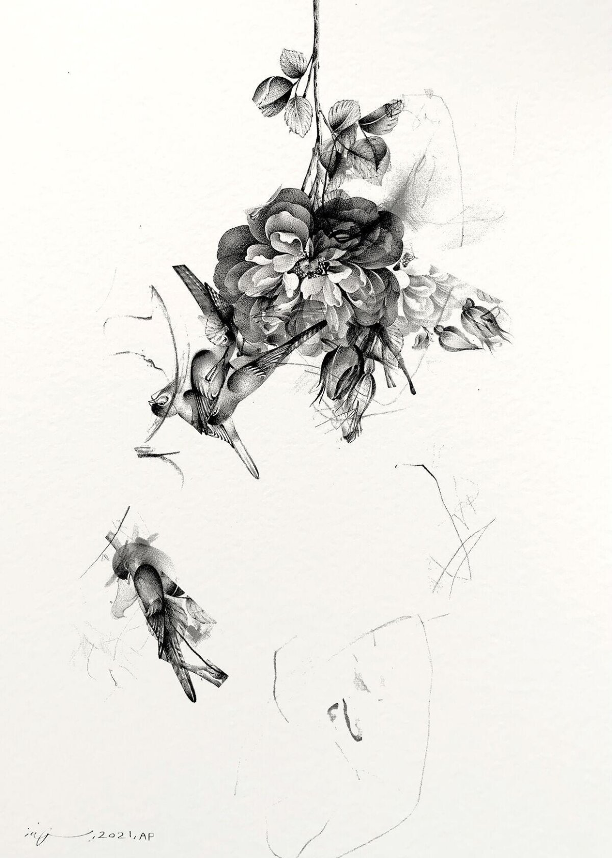 Pencil Sketch of Rose and Birds