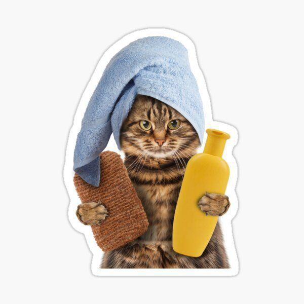 Bath Time Tabby Cat Sticker