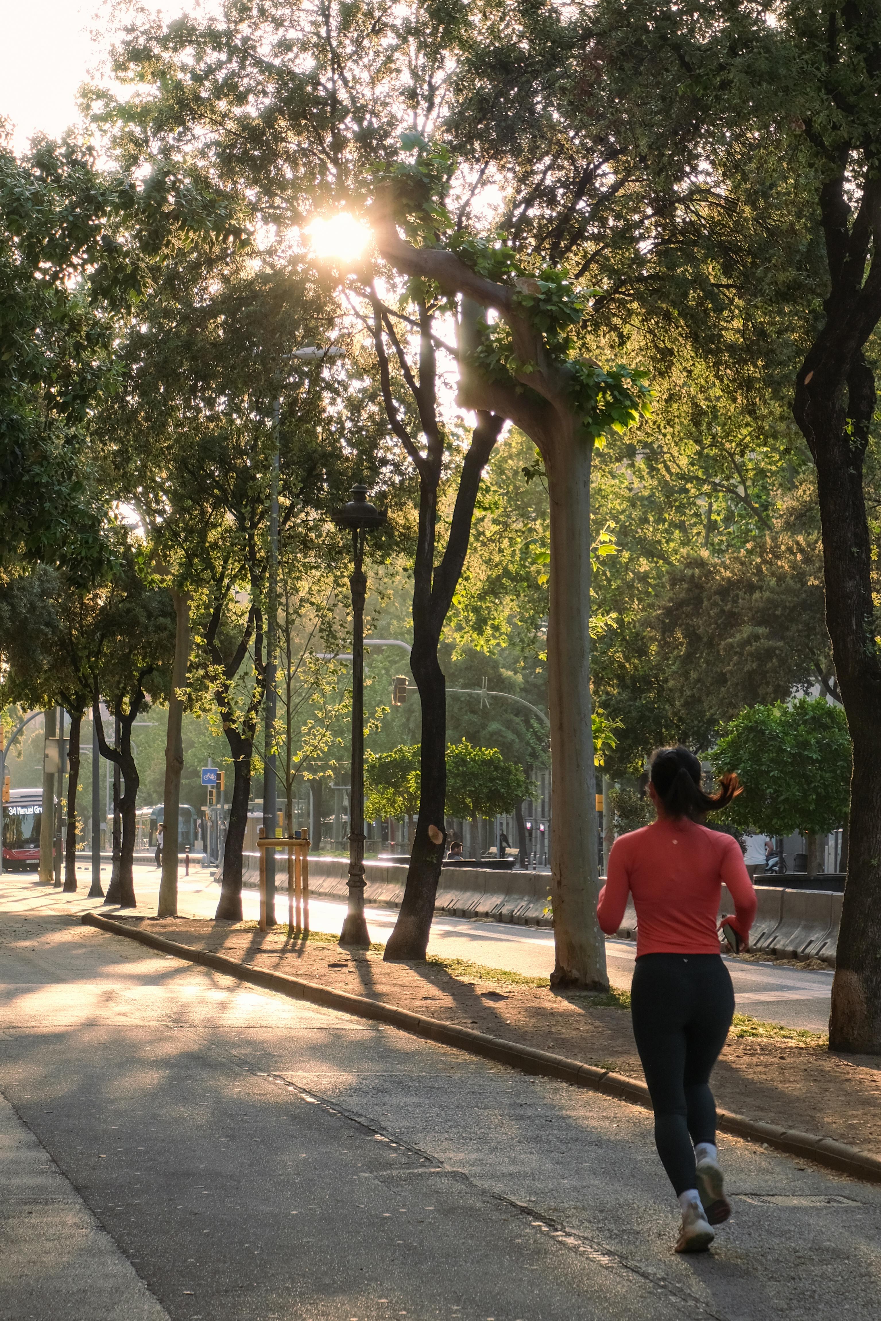 Woman Jogging on Tree-Lined Morning Path