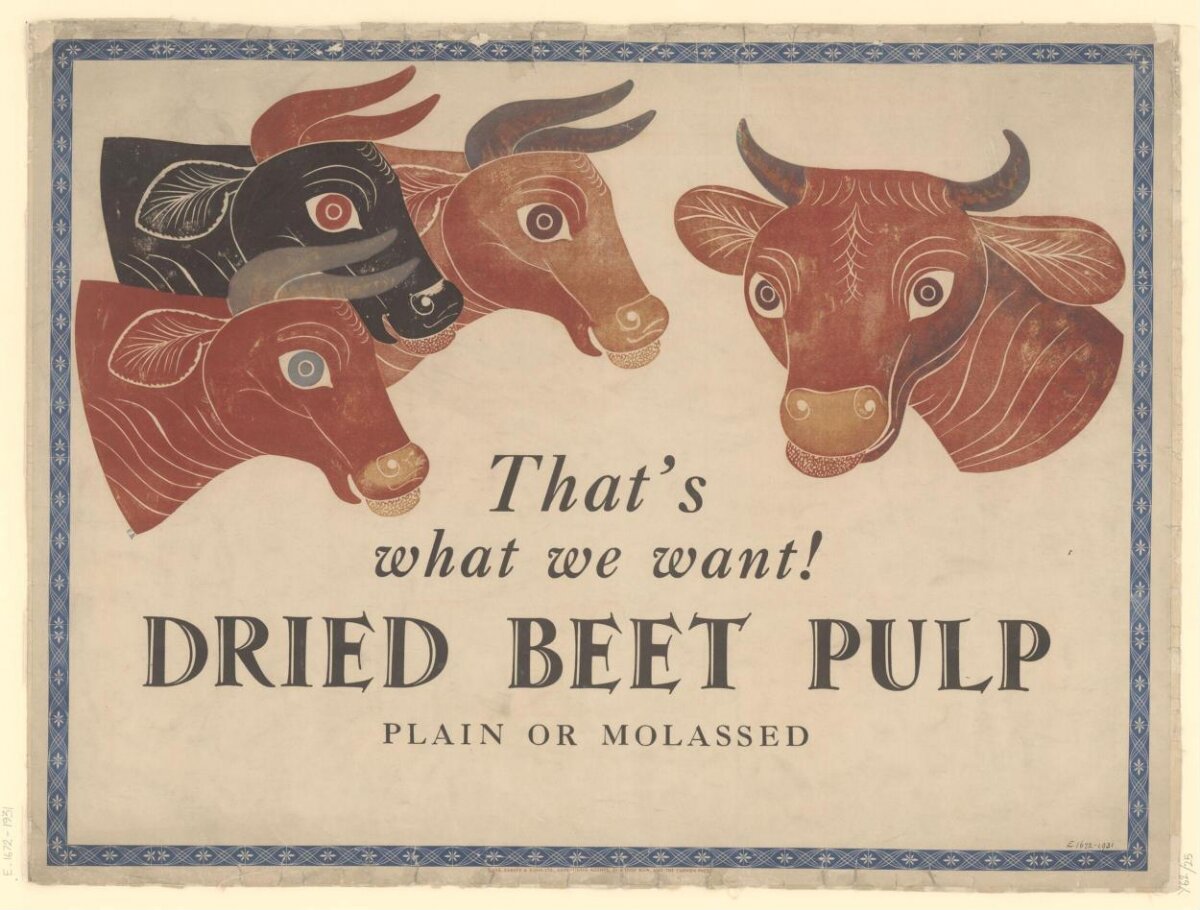 Vintage Dried Beet Pulp Advertisement