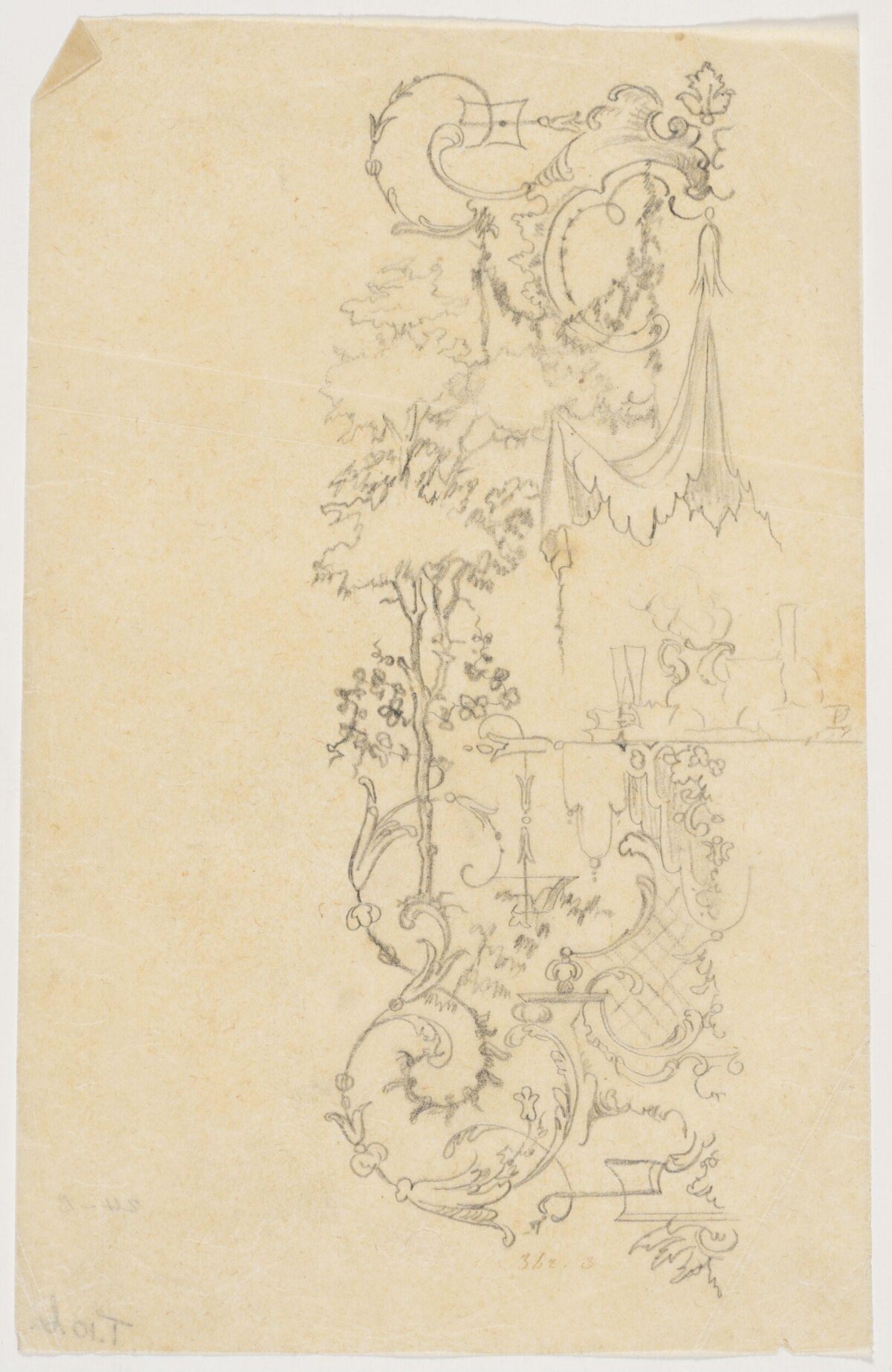 Pencil Sketch of Decorative and Natural Motifs