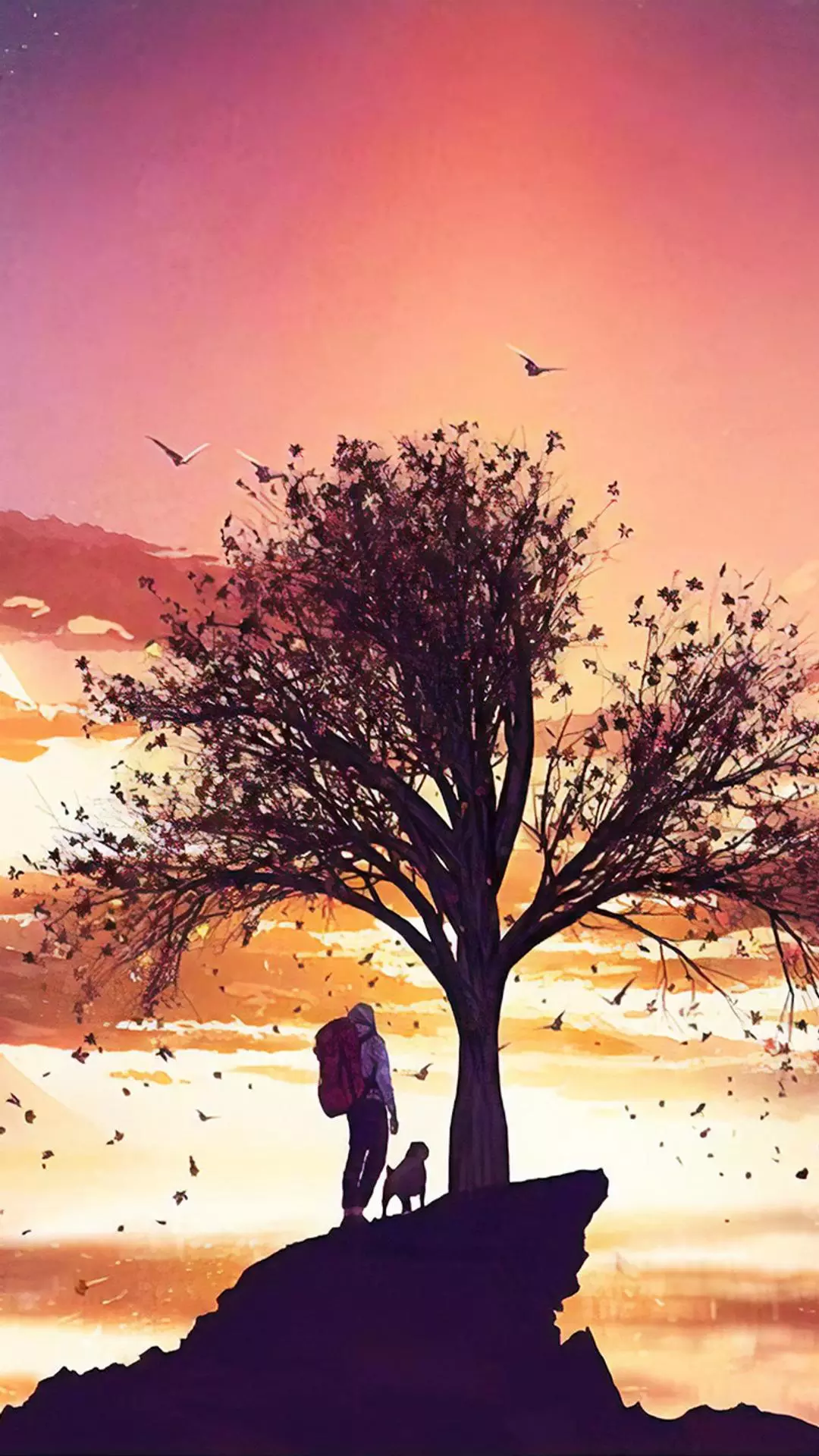 Wallpapers