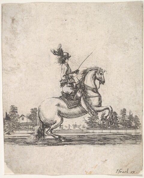 Rider on a Rearing Horse Ink Drawing