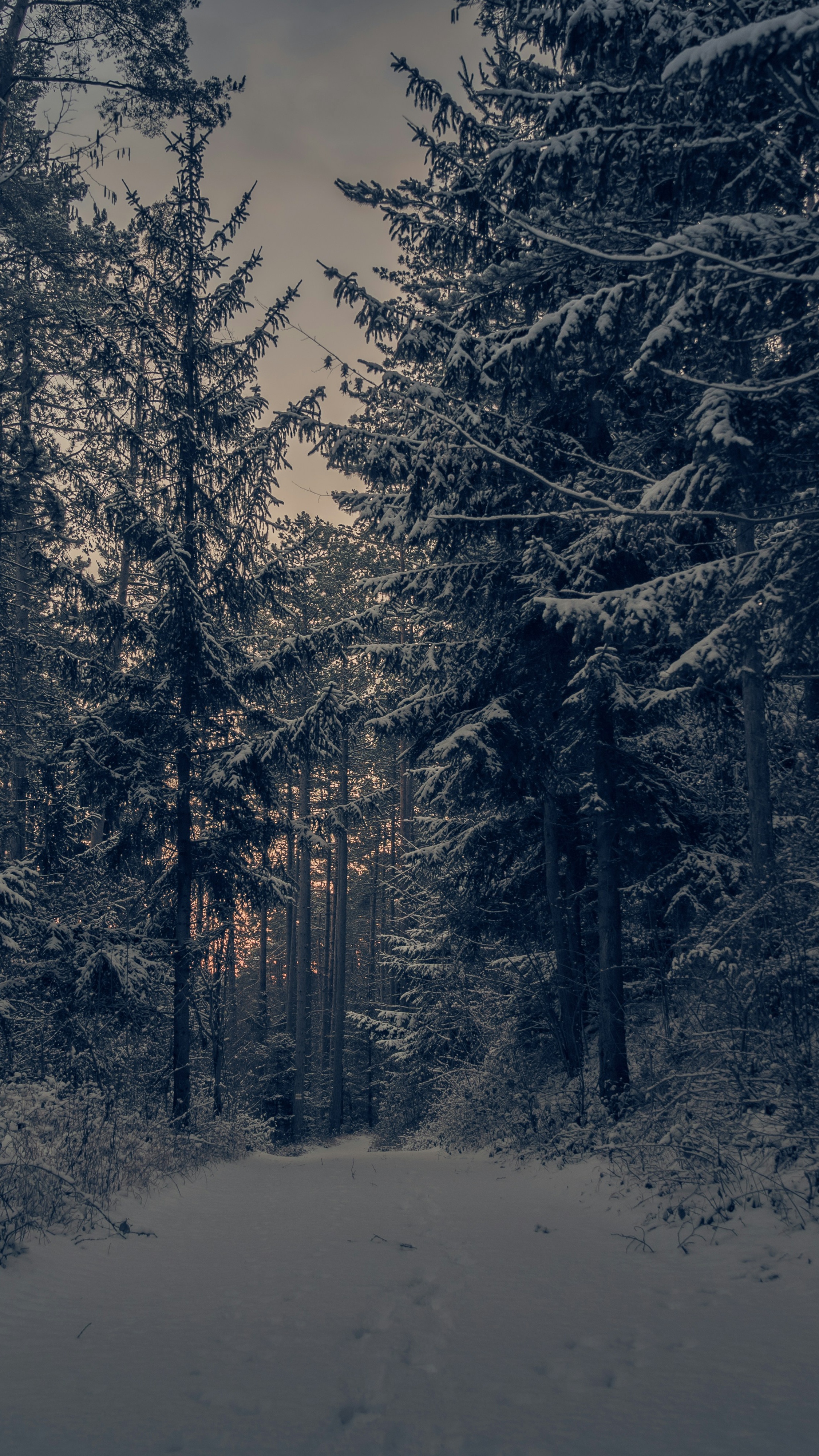 Wallpapers