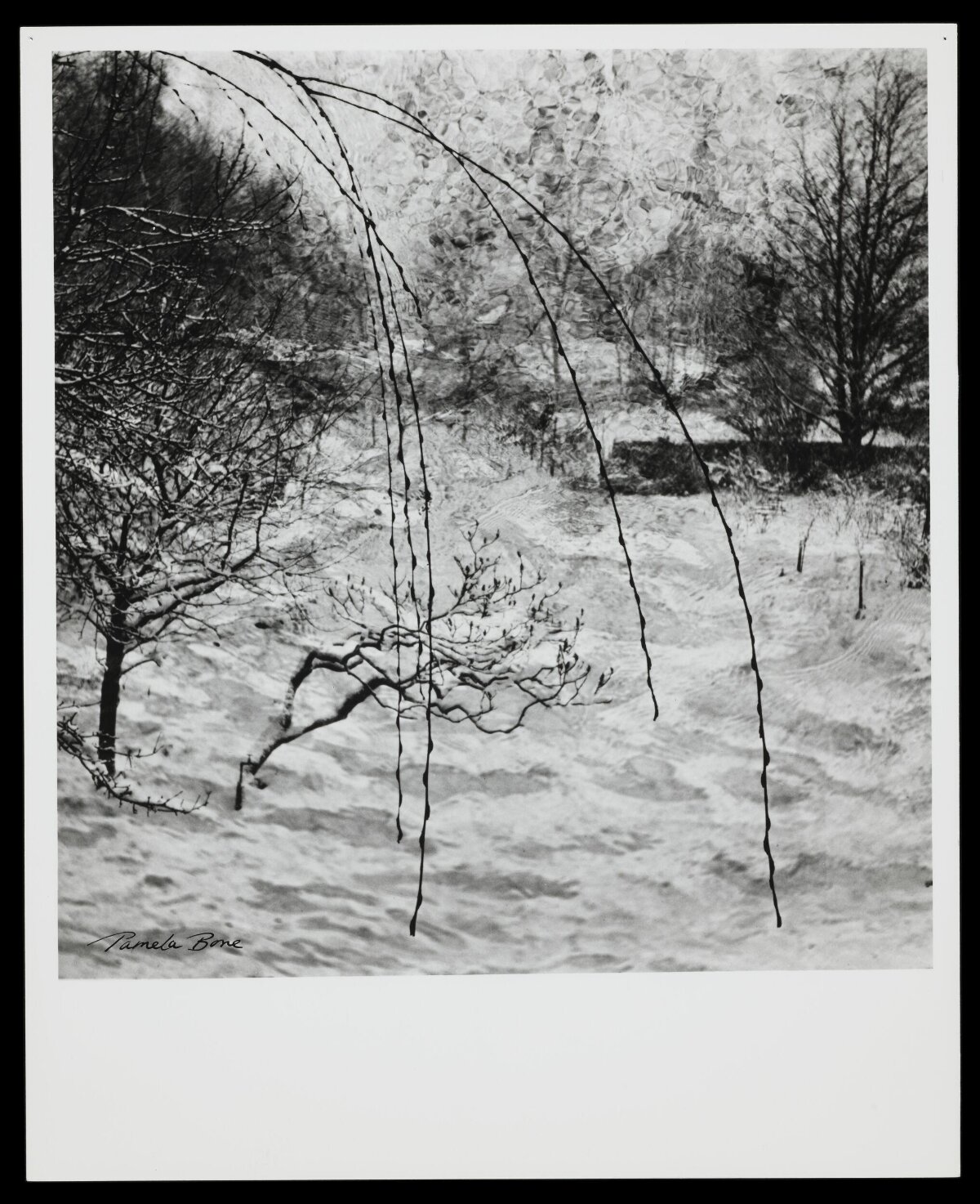 Black and White Winter Snow Landscape