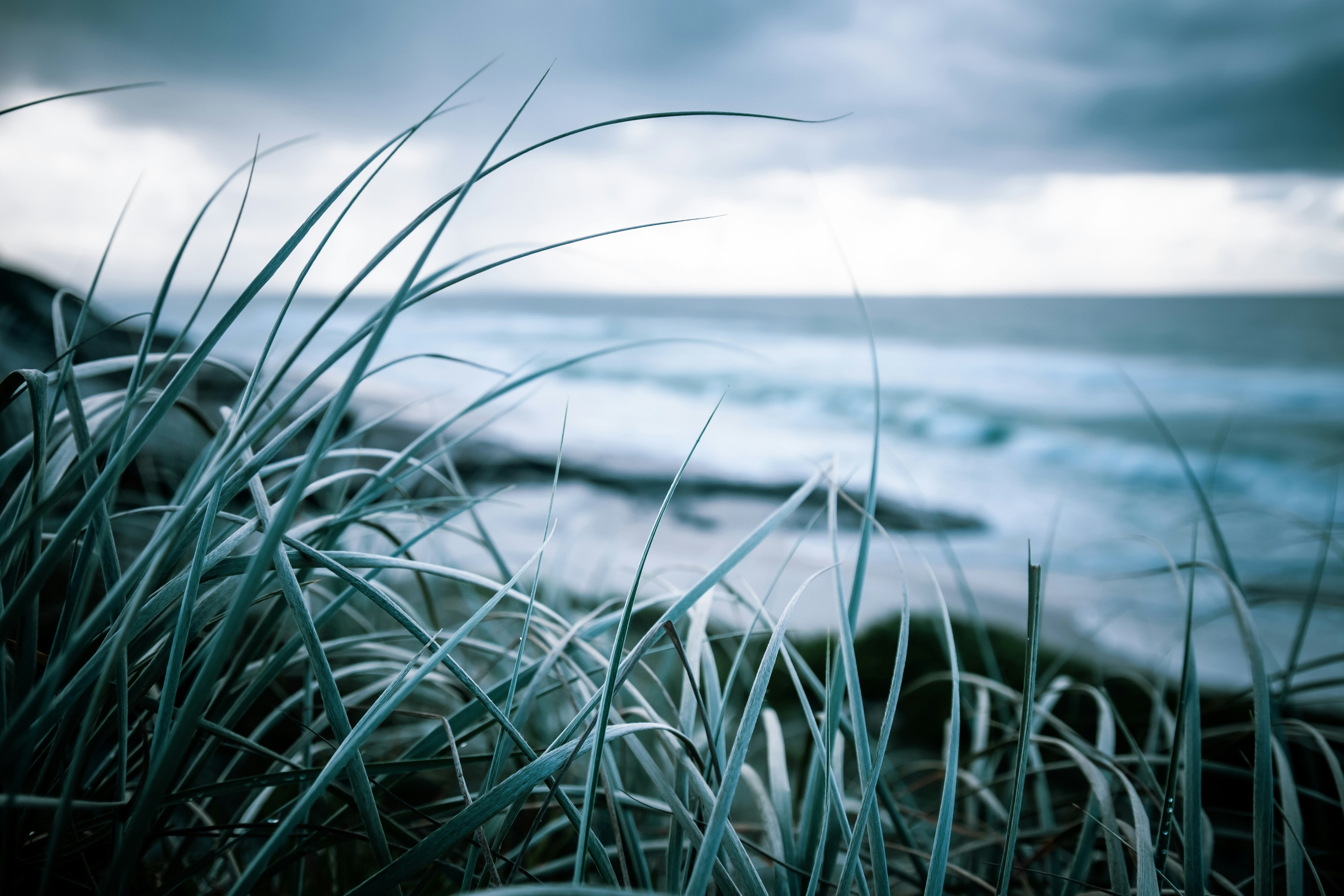 Coastal Dune Grass by Stormy Sea