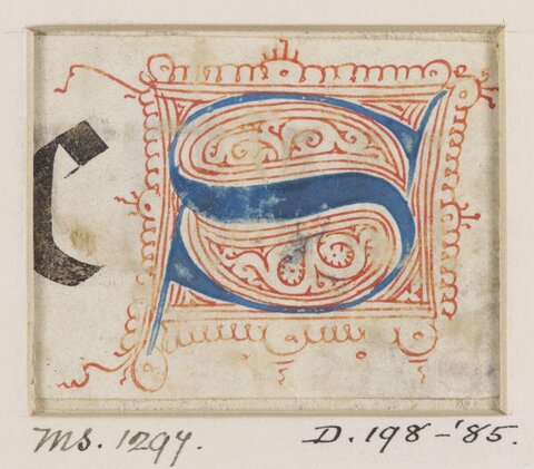 Illuminated Manuscript Initial S