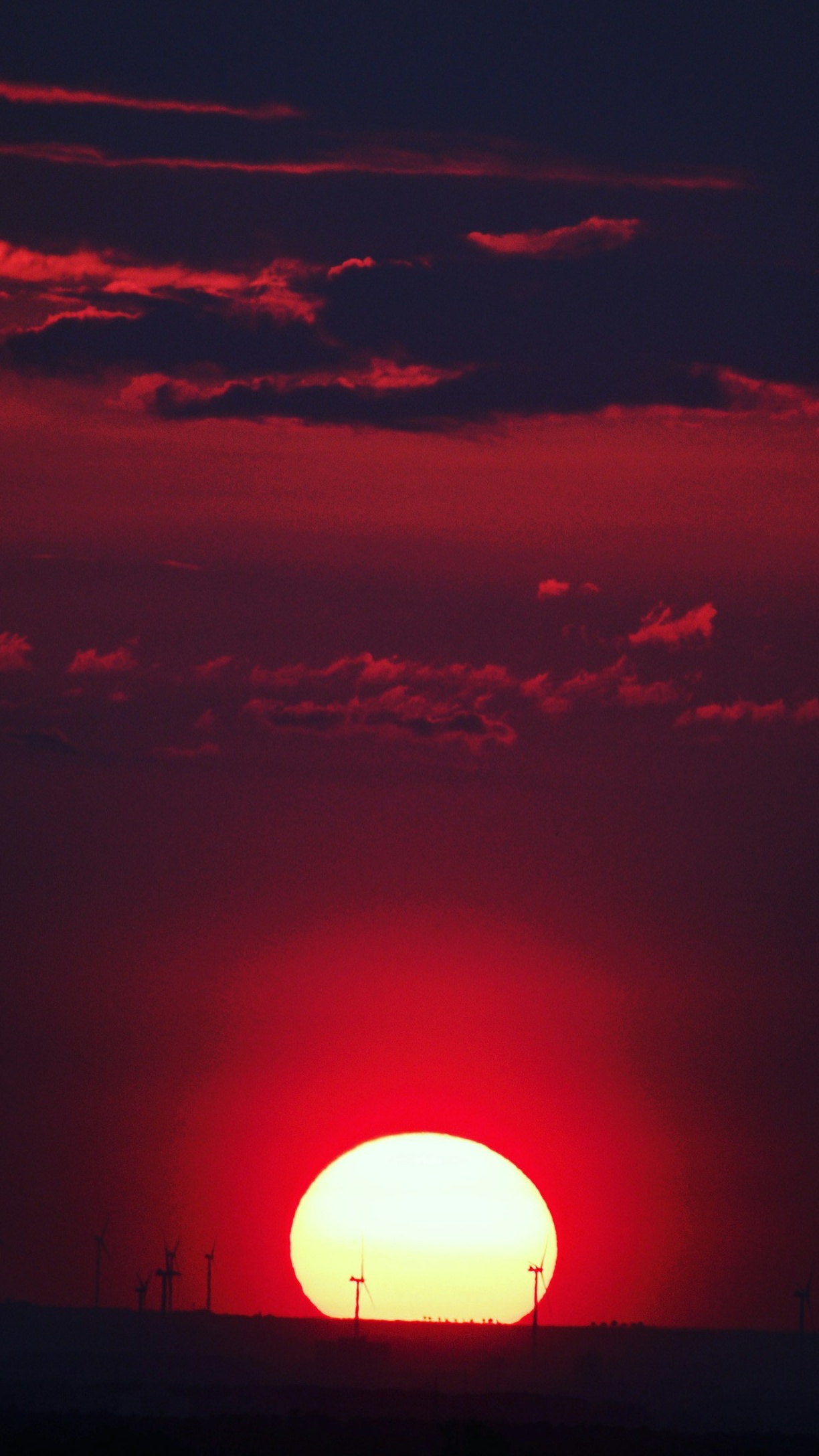 Wallpapers
