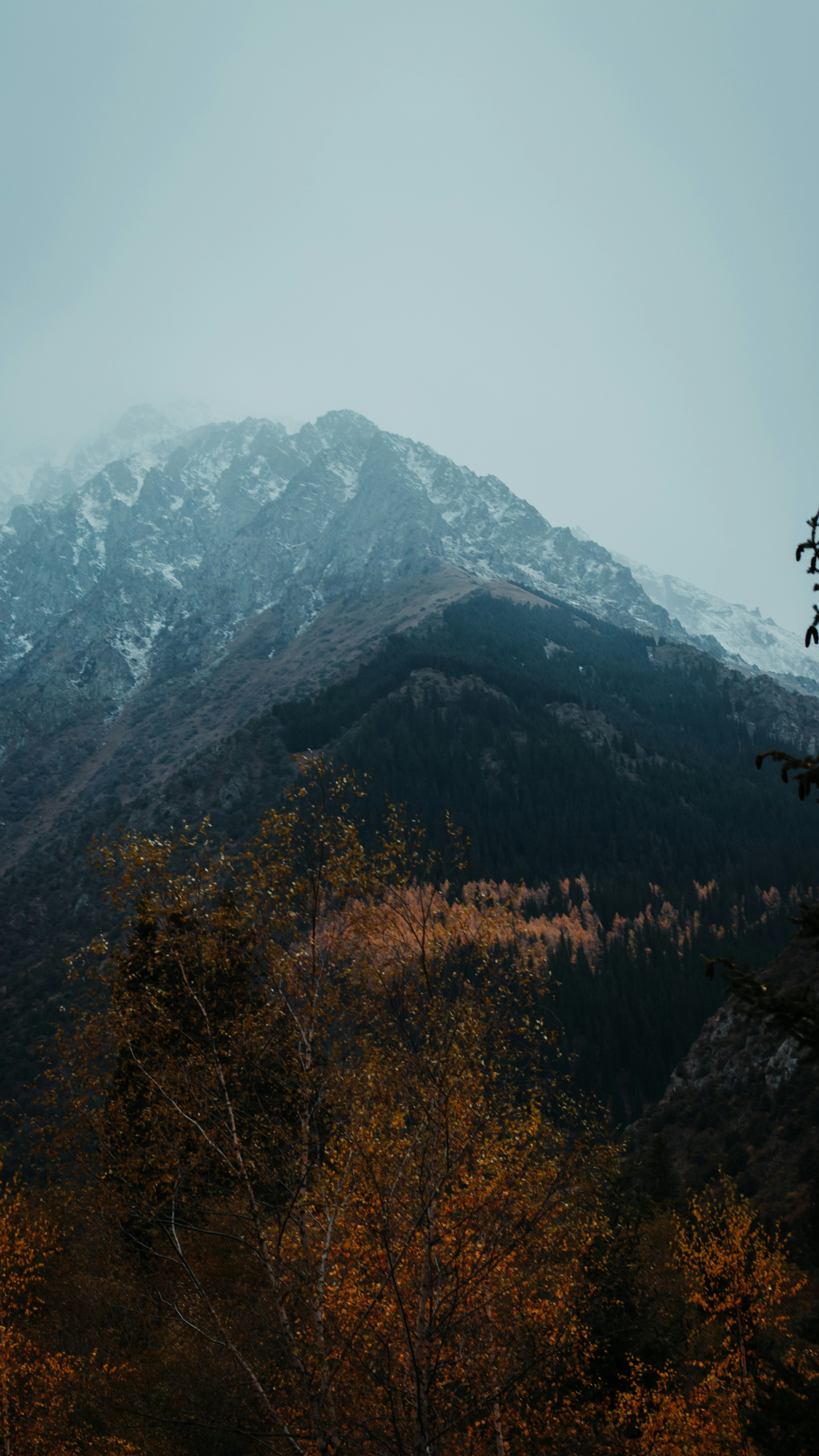 Autumn Snow Capped Mountain