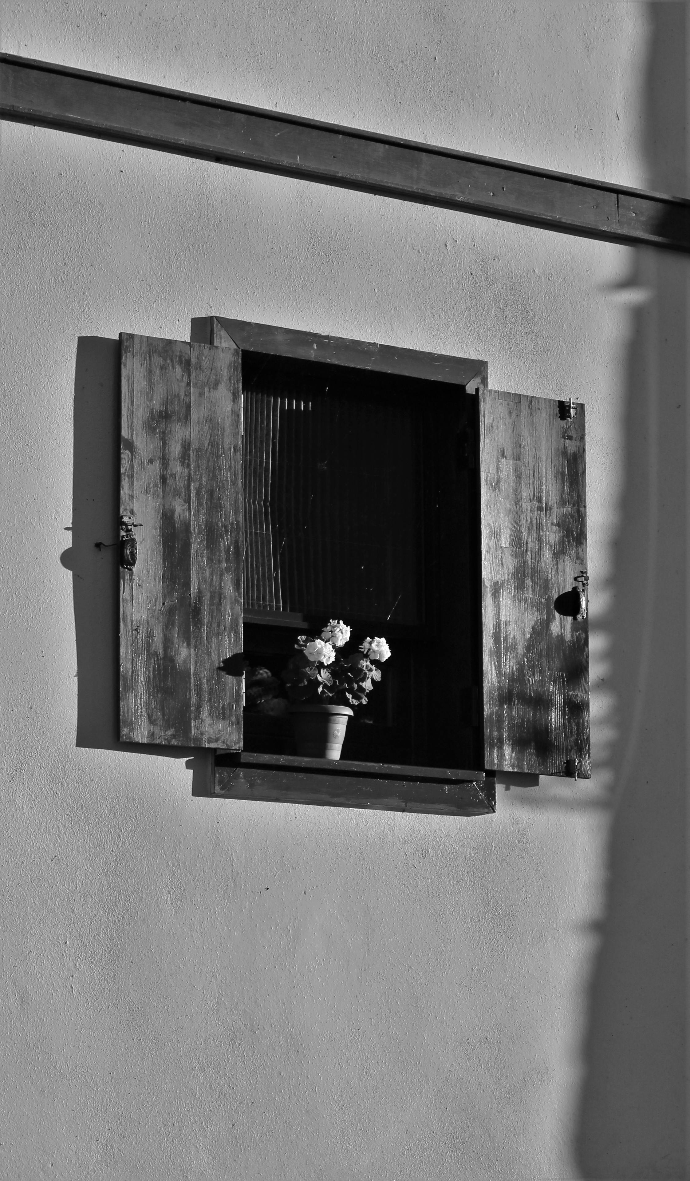 Home Decoration