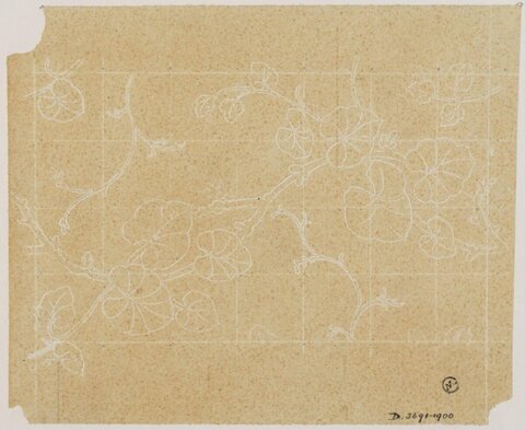 White Line Sketch of Vine Pattern