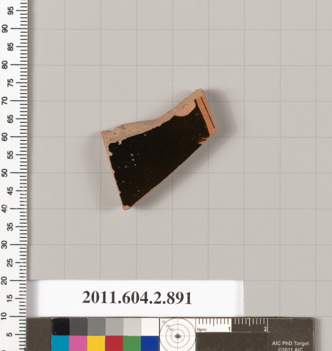 Ancient Pottery Fragment Specimen