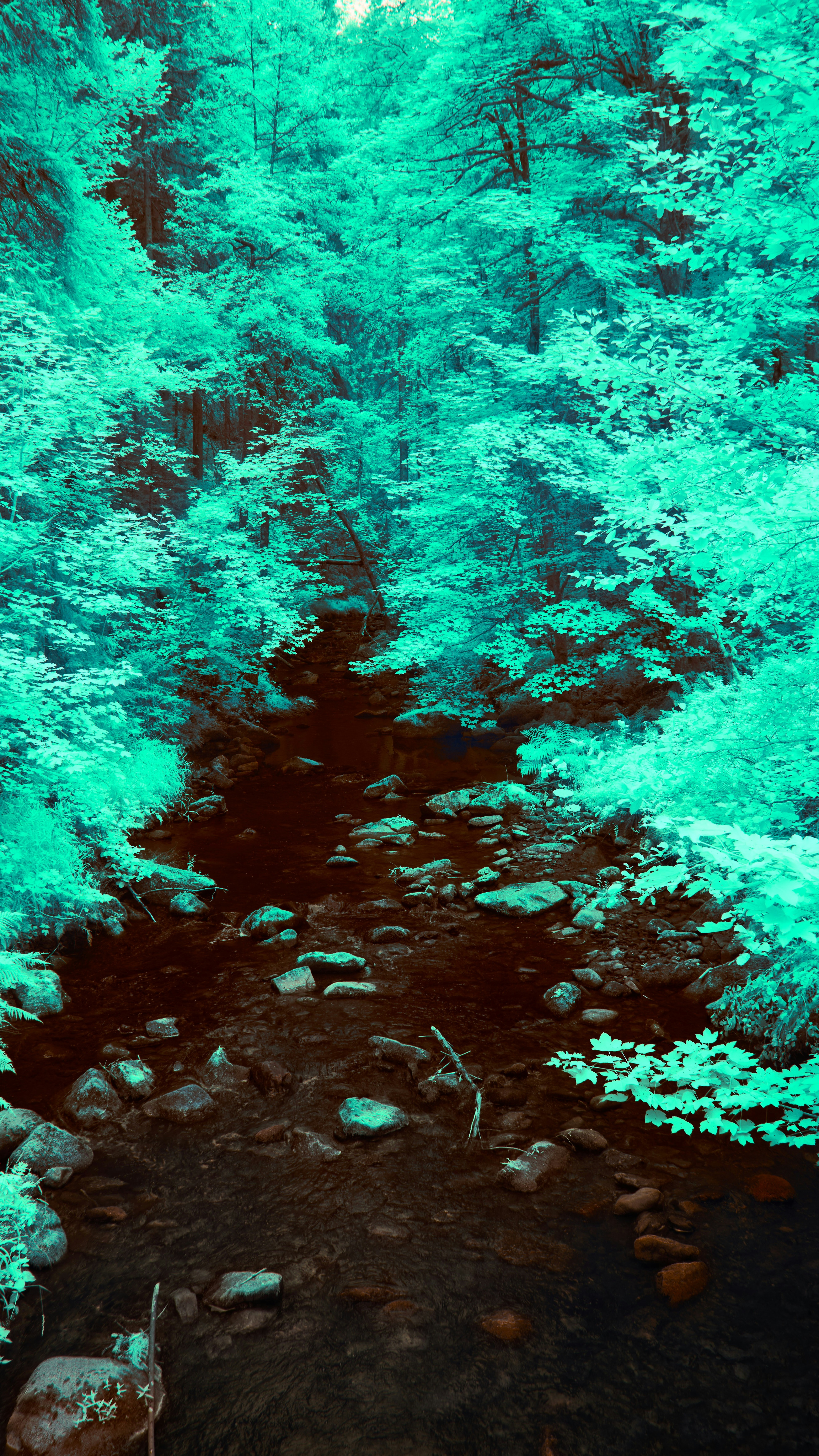 Wallpapers