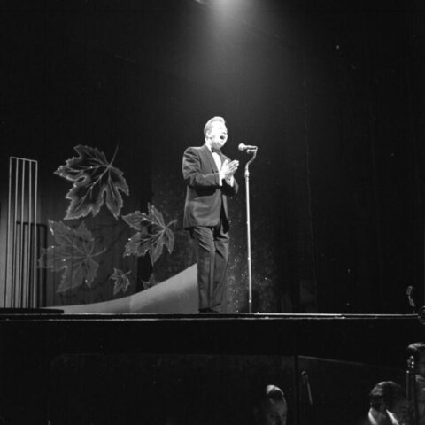 Male Singer Performing On Stage