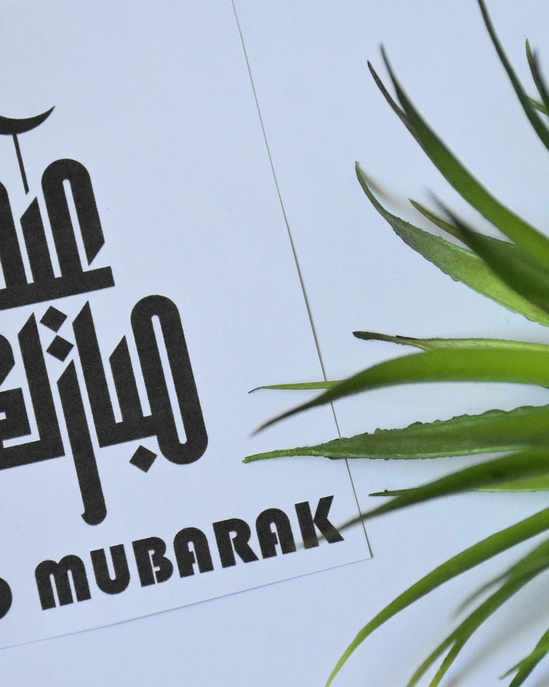 Mubarak Greeting Card With Green Plant