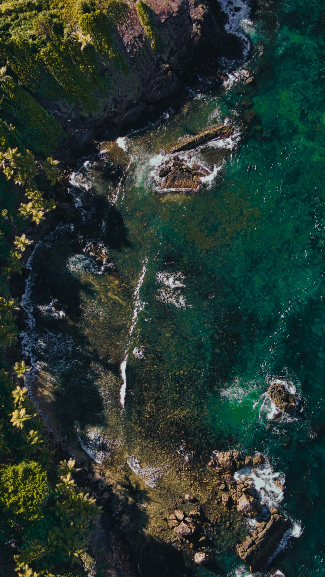 Wallpapers