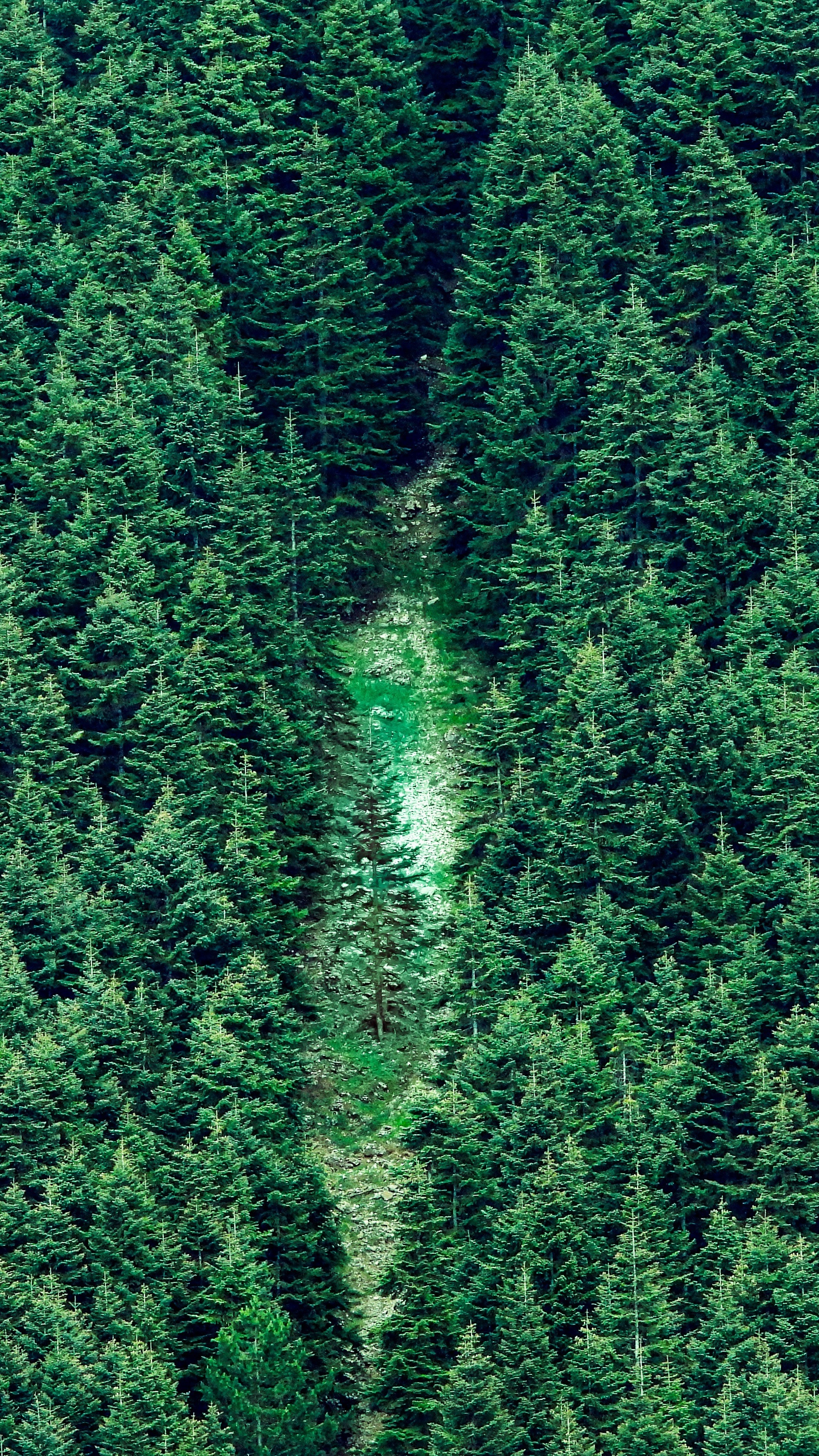 Wallpapers