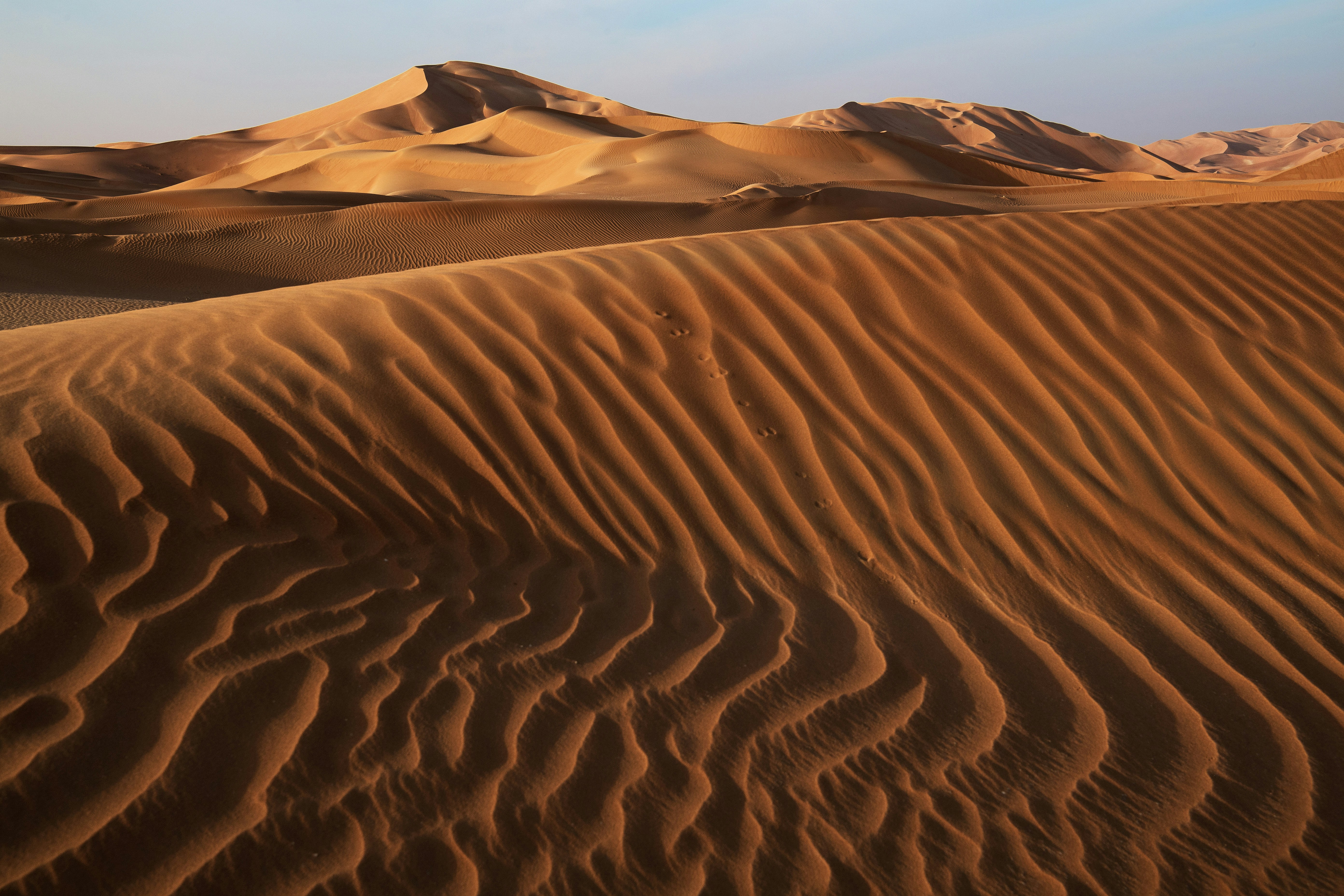 Windswept Desert Sand Dunes