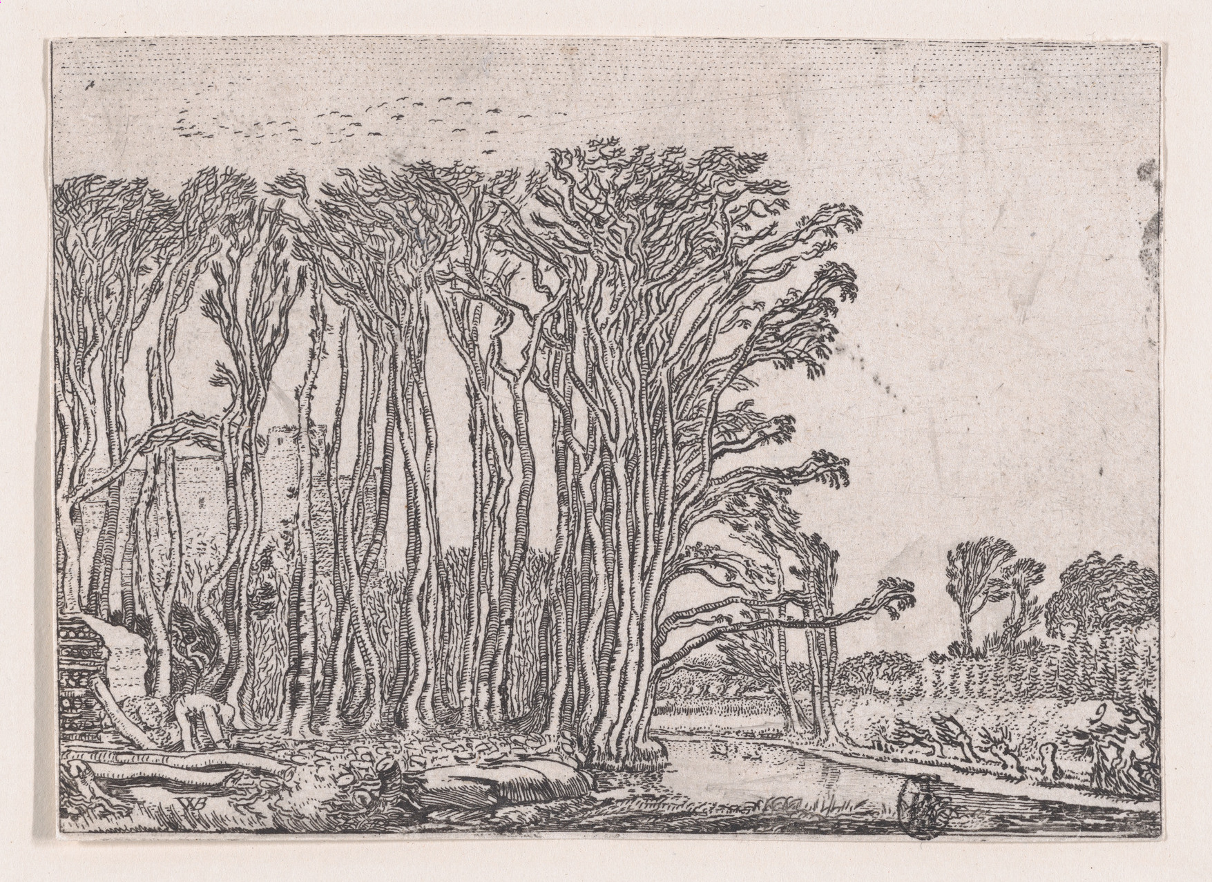 Riverbank Woodland Etching with Castle