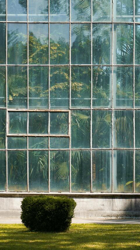 Greenhouse Glass Wall With Greenery