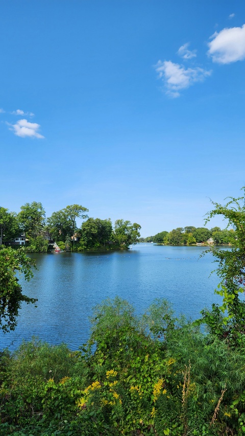 Calm Lake Summer Landscape