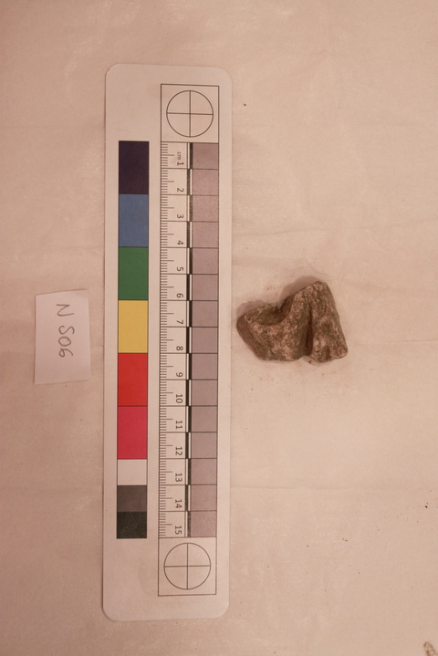 Archaeological Specimen With Scale Bar