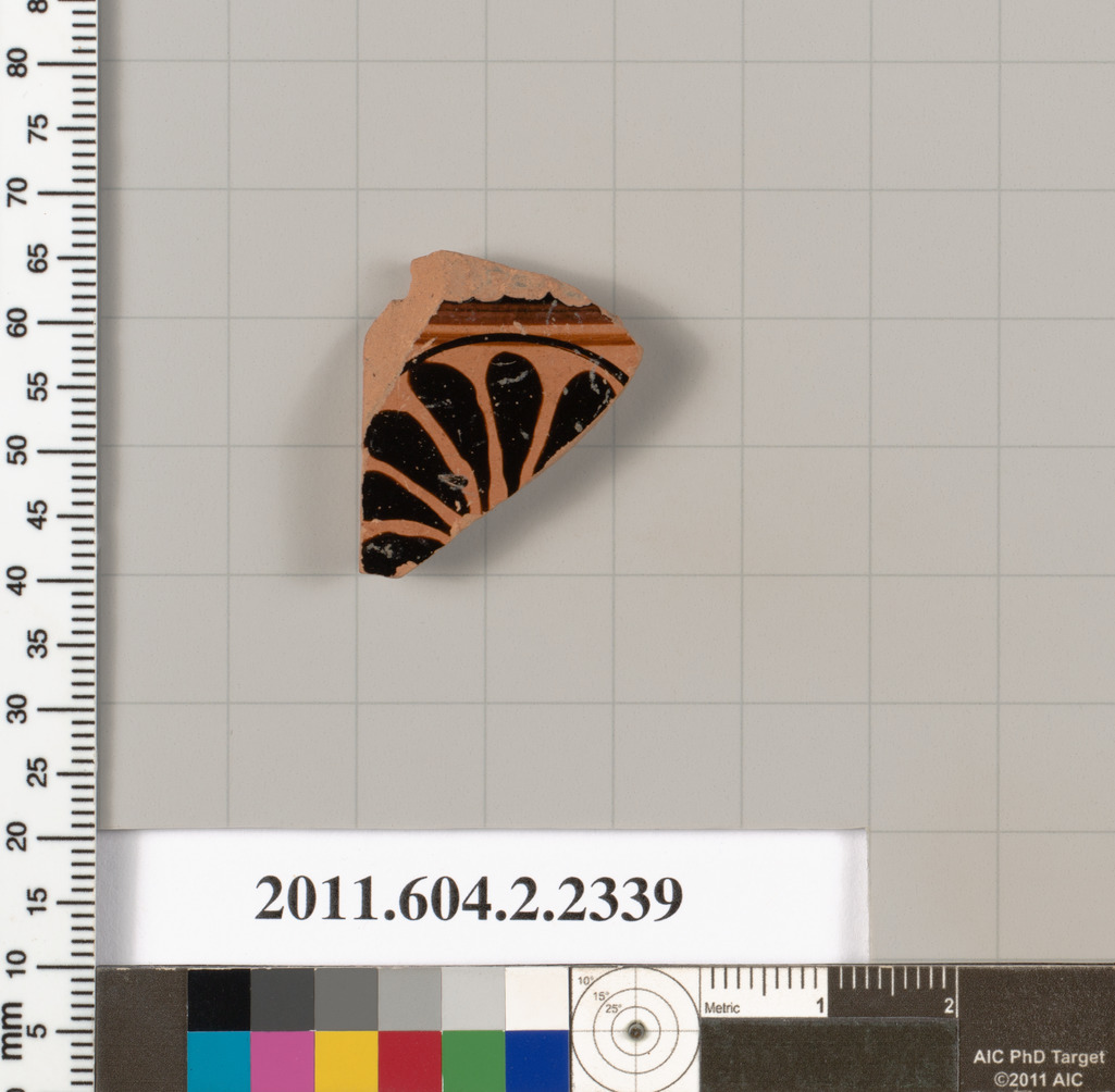 Painted Ancient Pottery Fragment