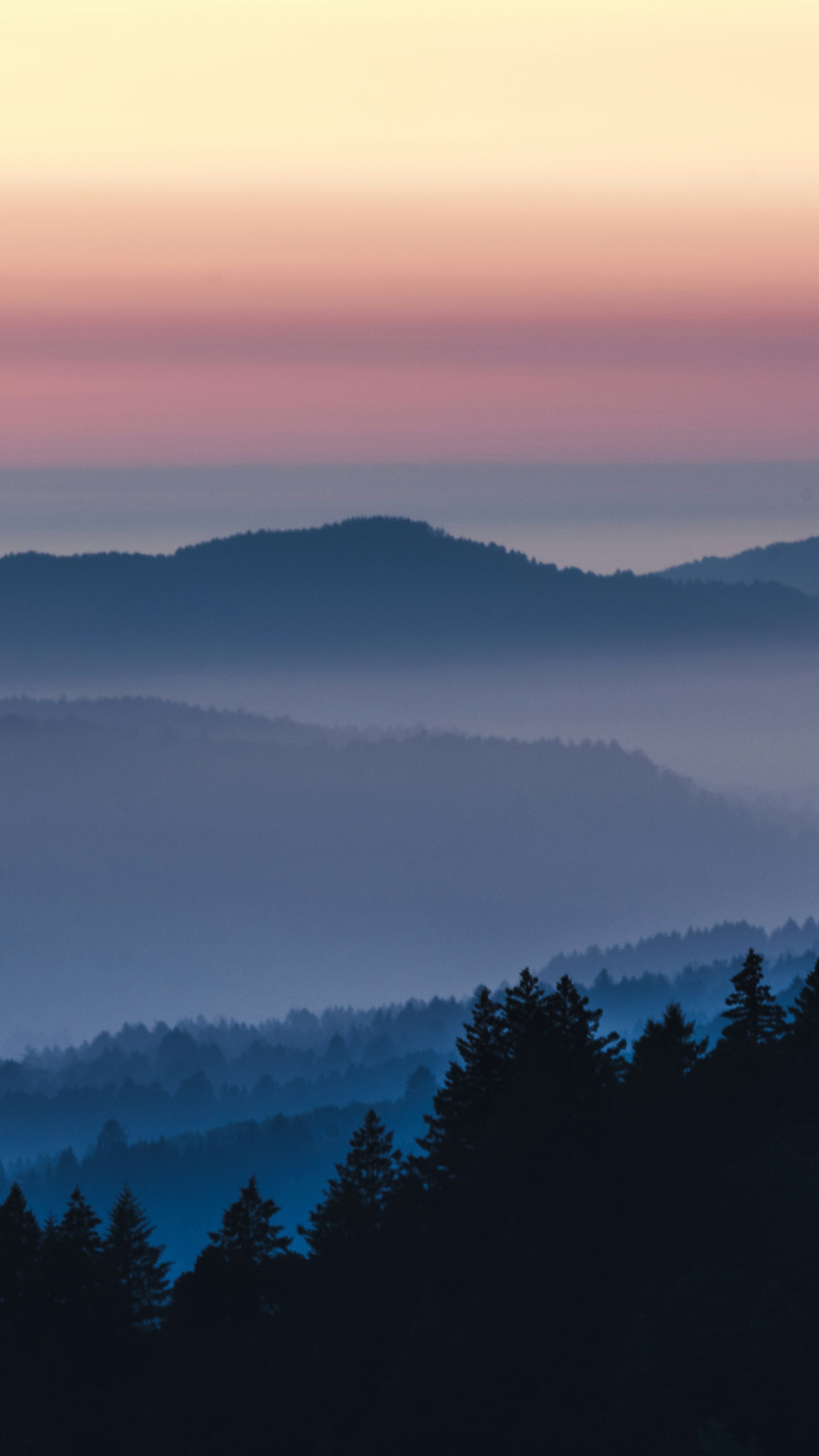 Landscapes
