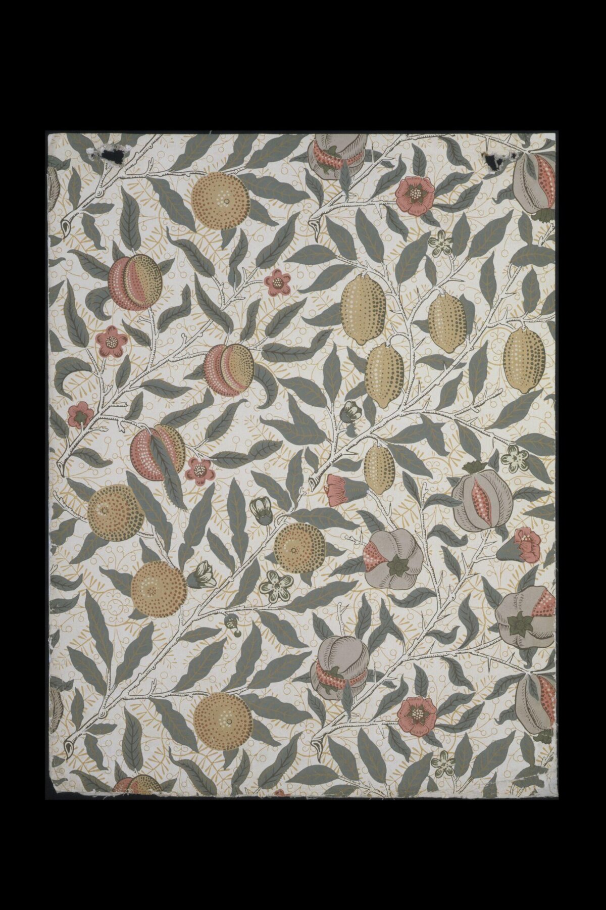 Vintage Fruit Branch Pattern Textile