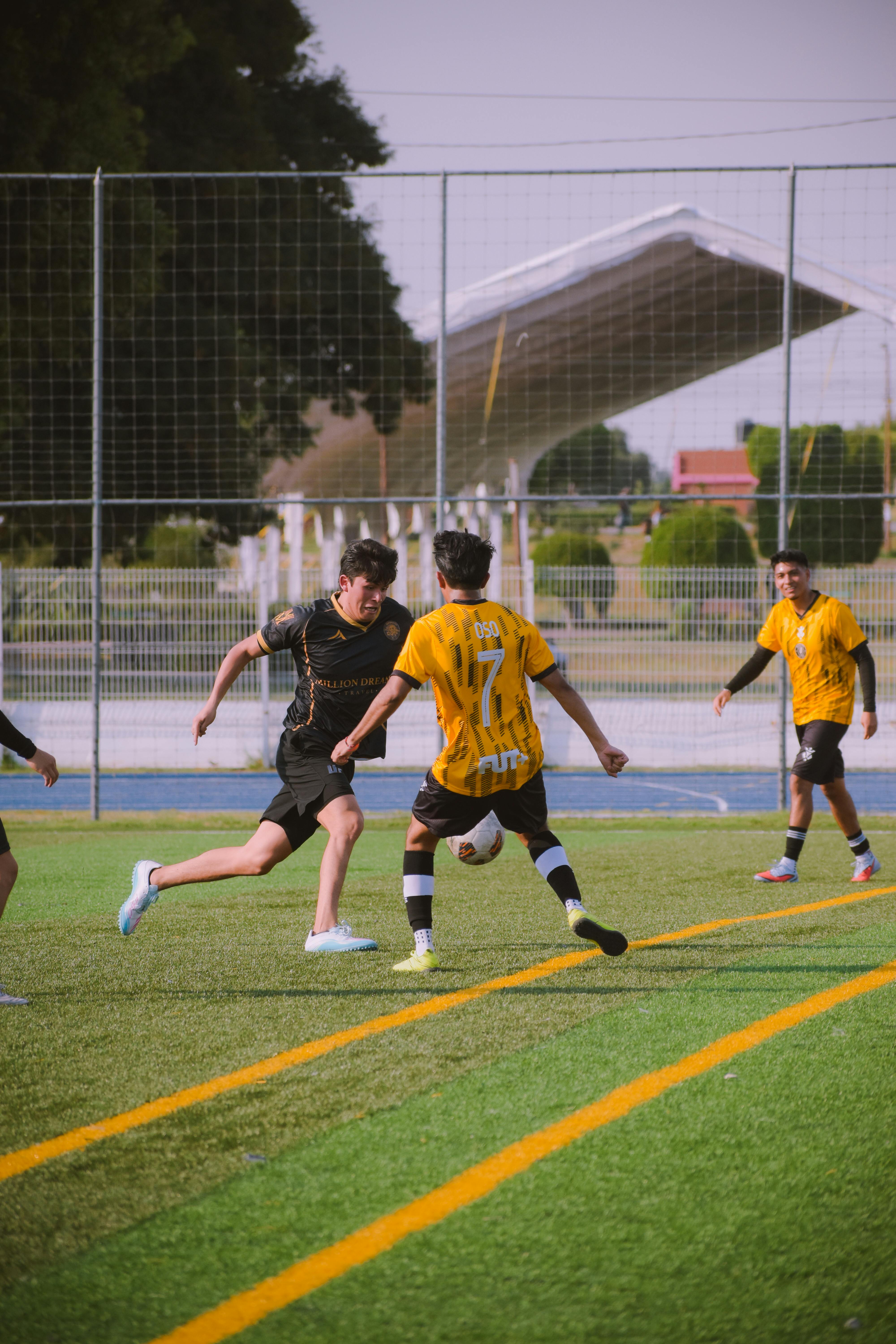 Image 1622949 — Sports