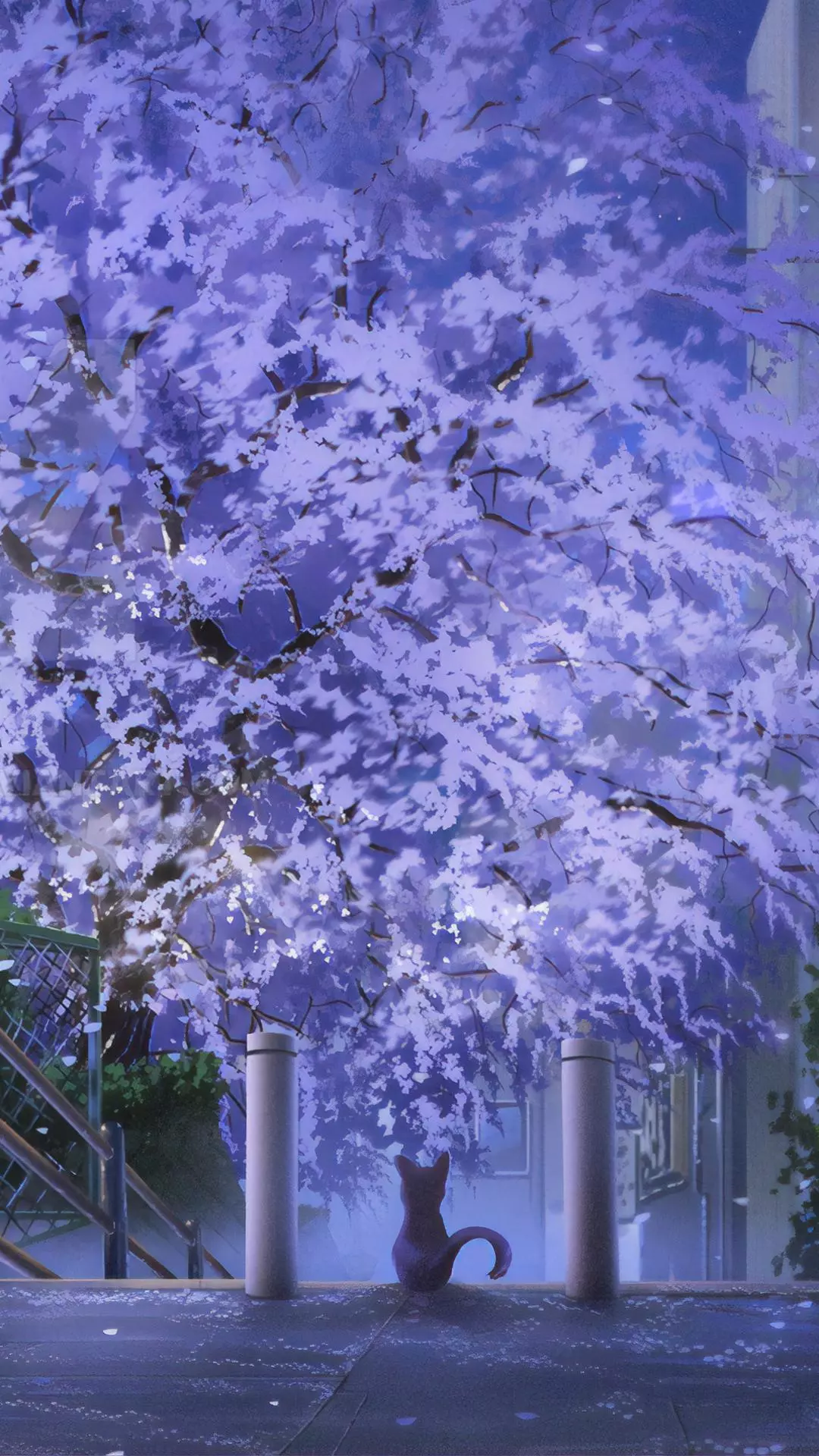 Wallpapers