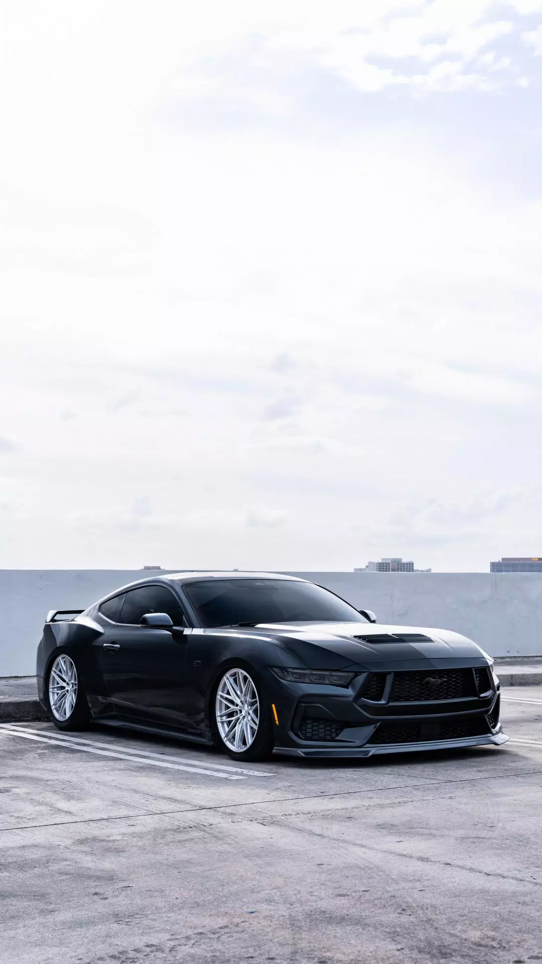 Wallpapers
