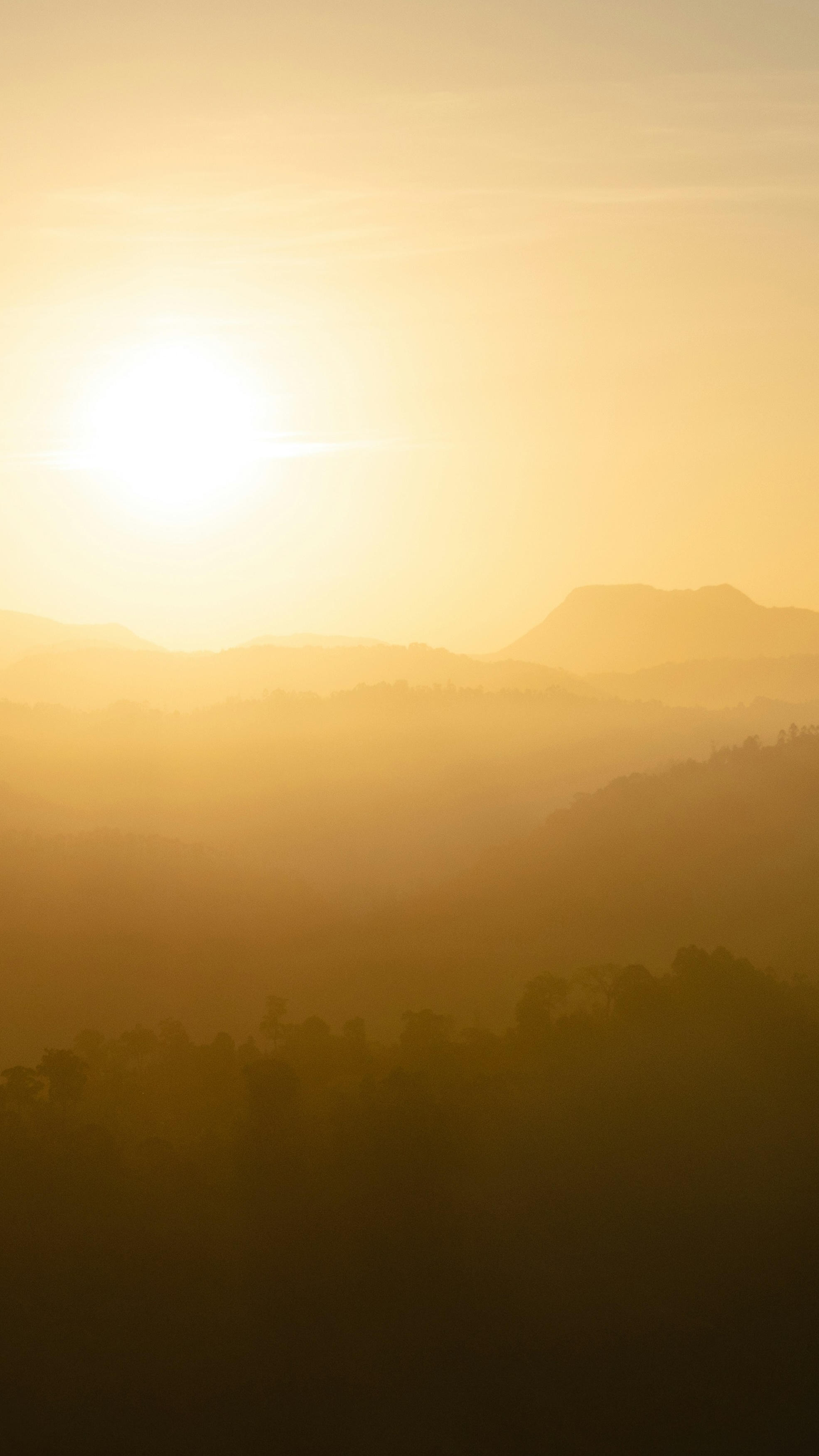 Landscapes