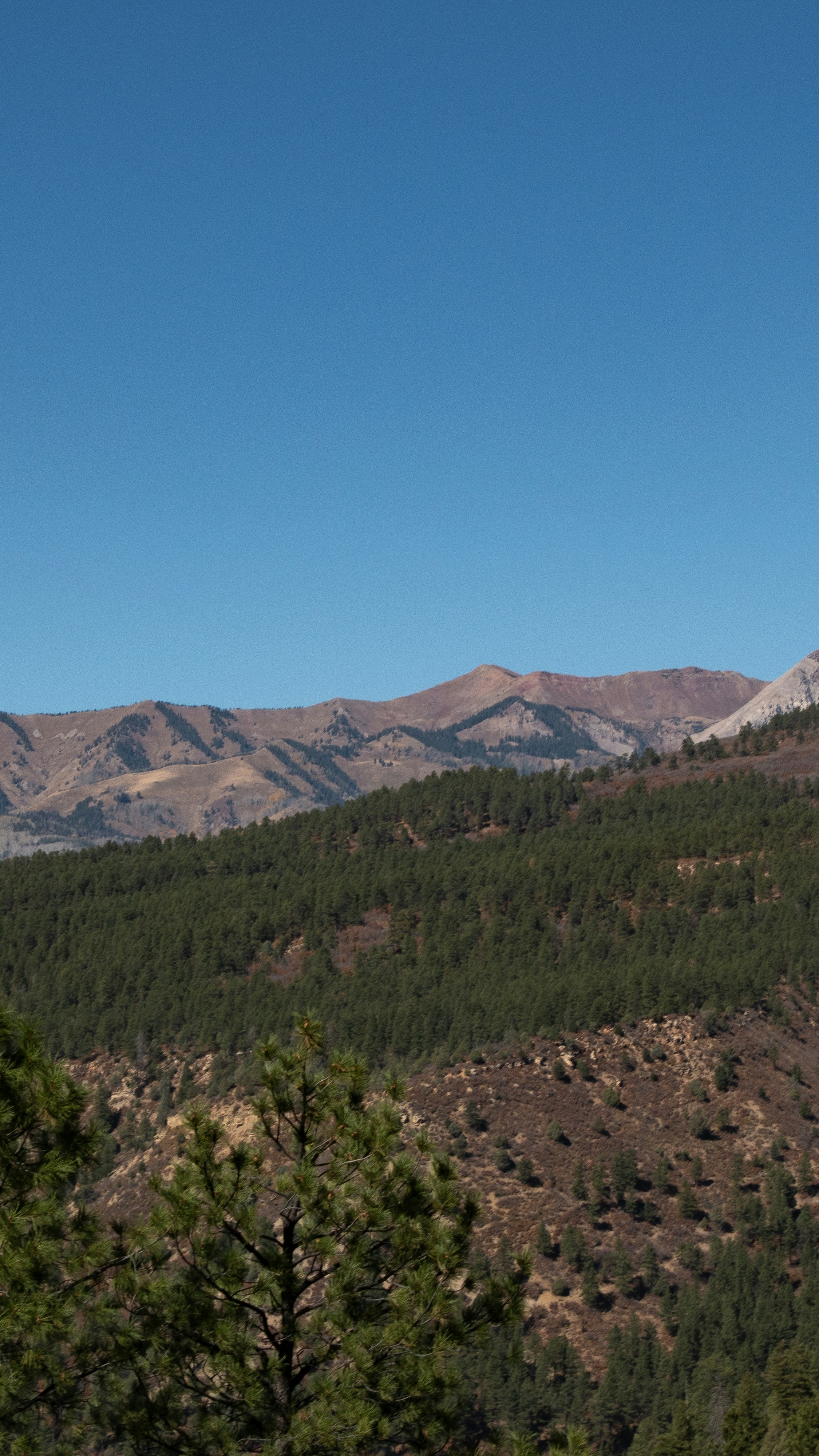 Forested Mountain Range Under Clear Sky