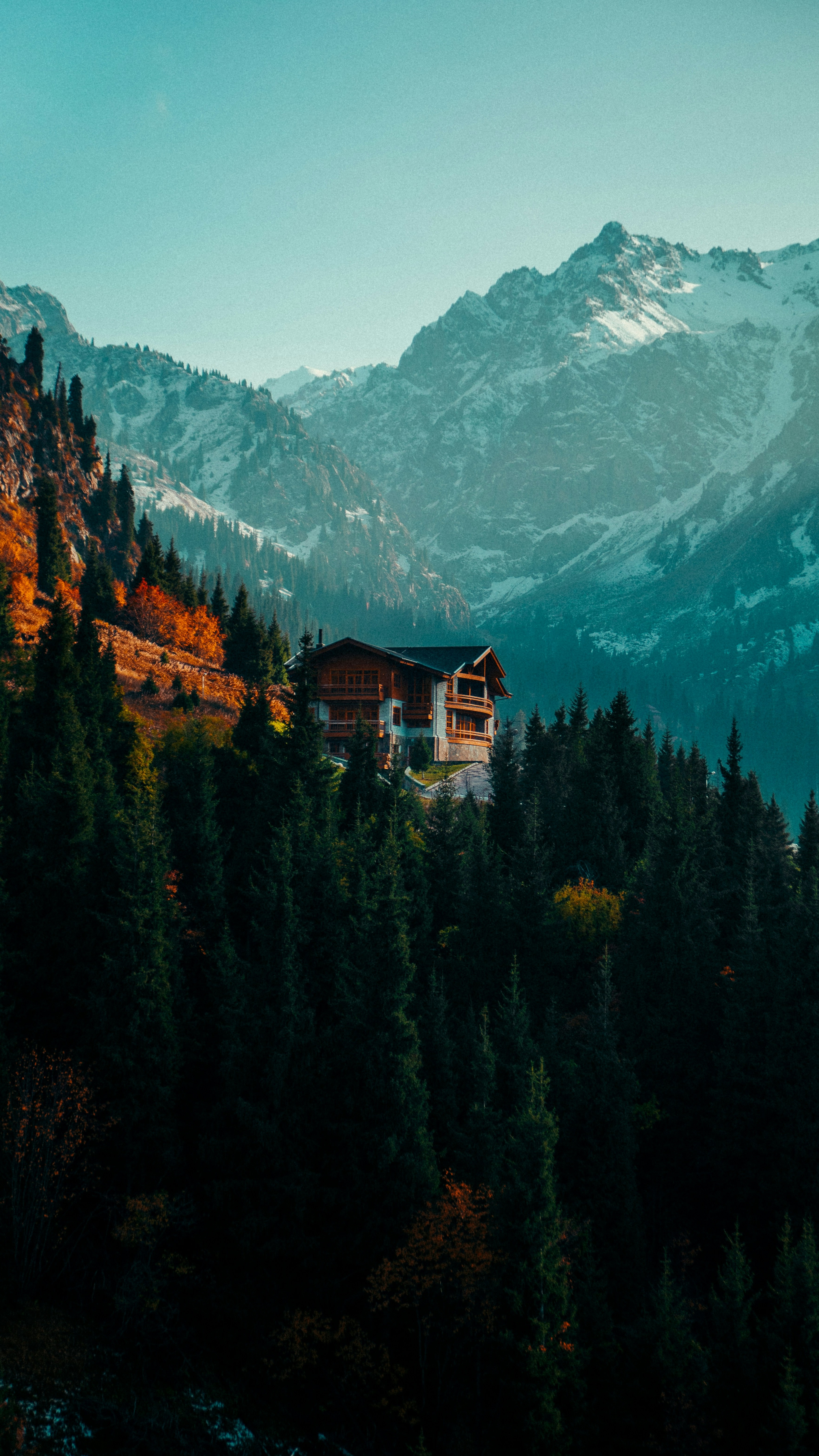 Wallpapers