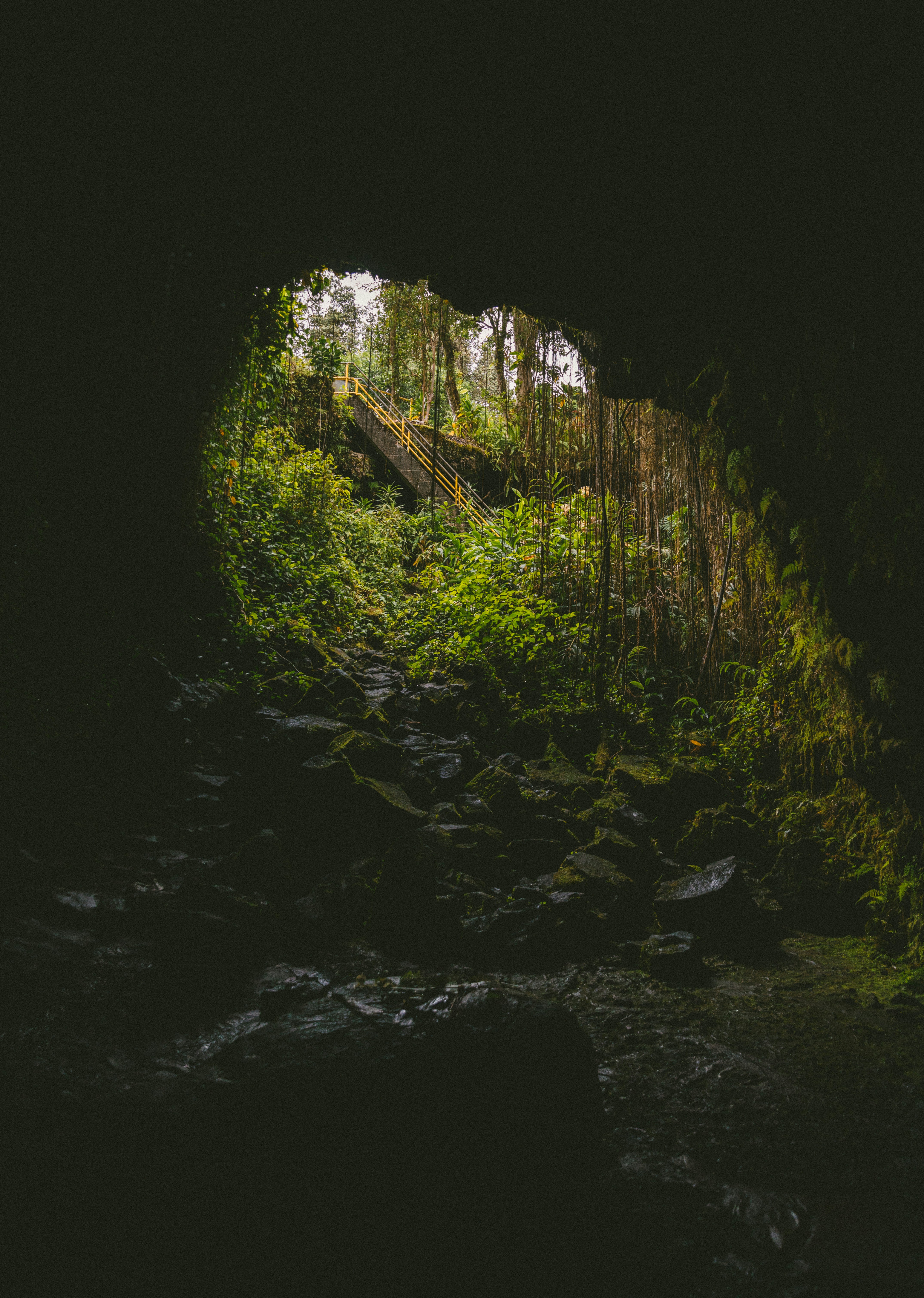Cave Exit to Lush Rainforest