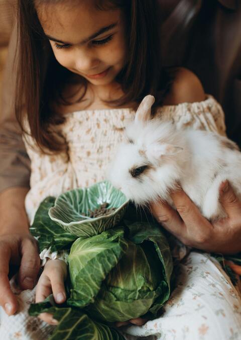Girl With Fluffy White Pet Rabbit