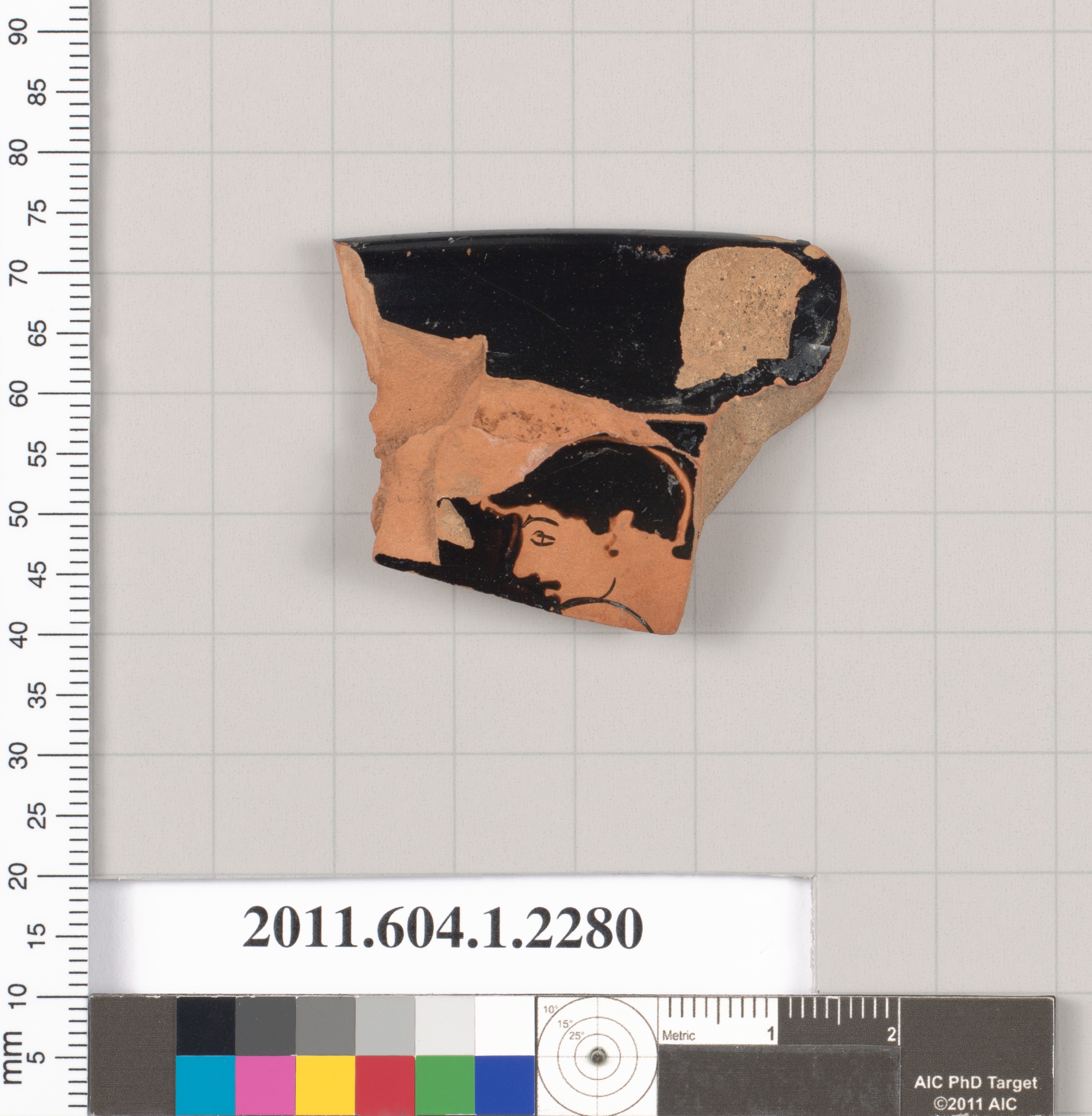 Ancient Pottery Fragment