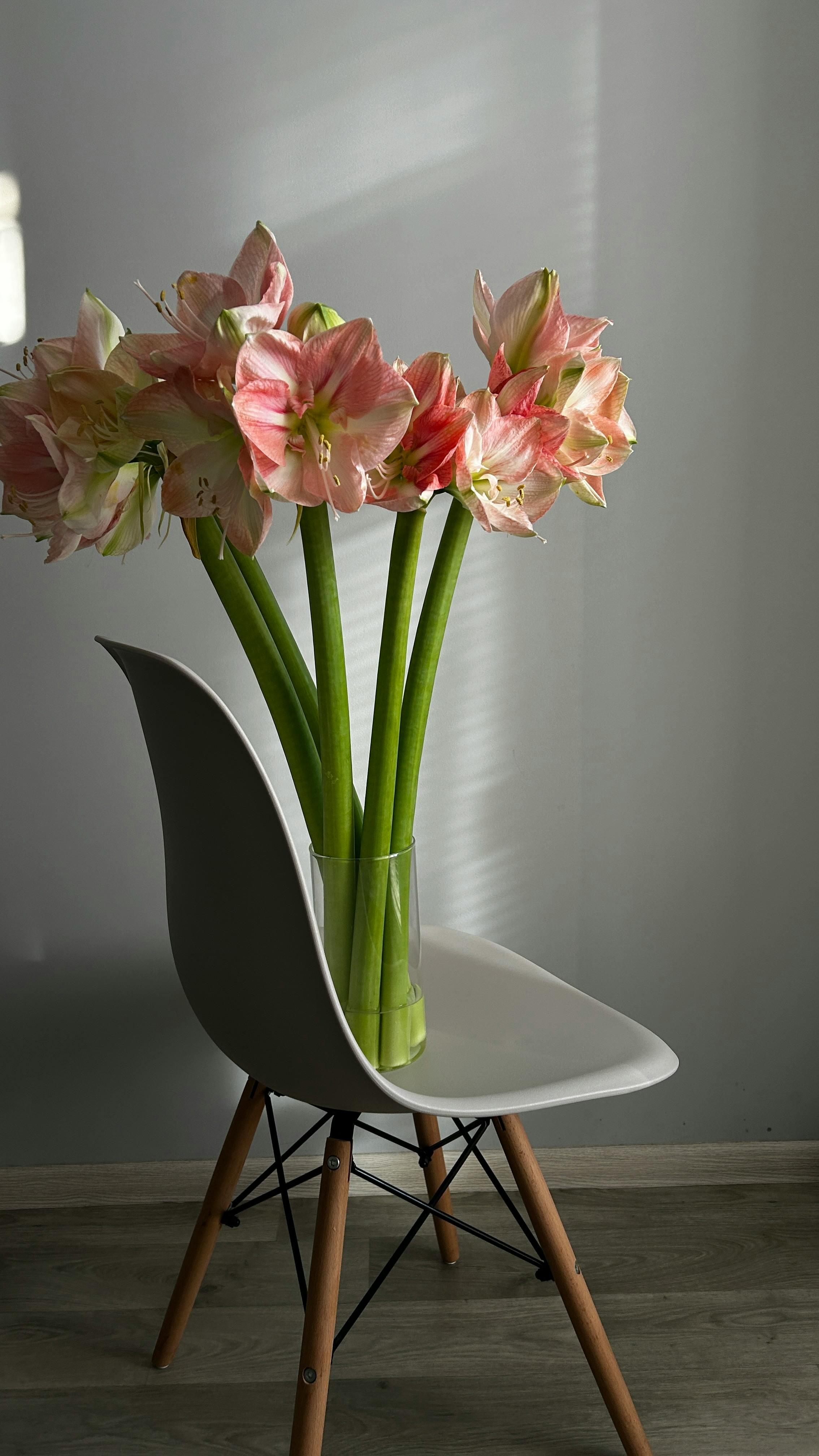 Home Decoration