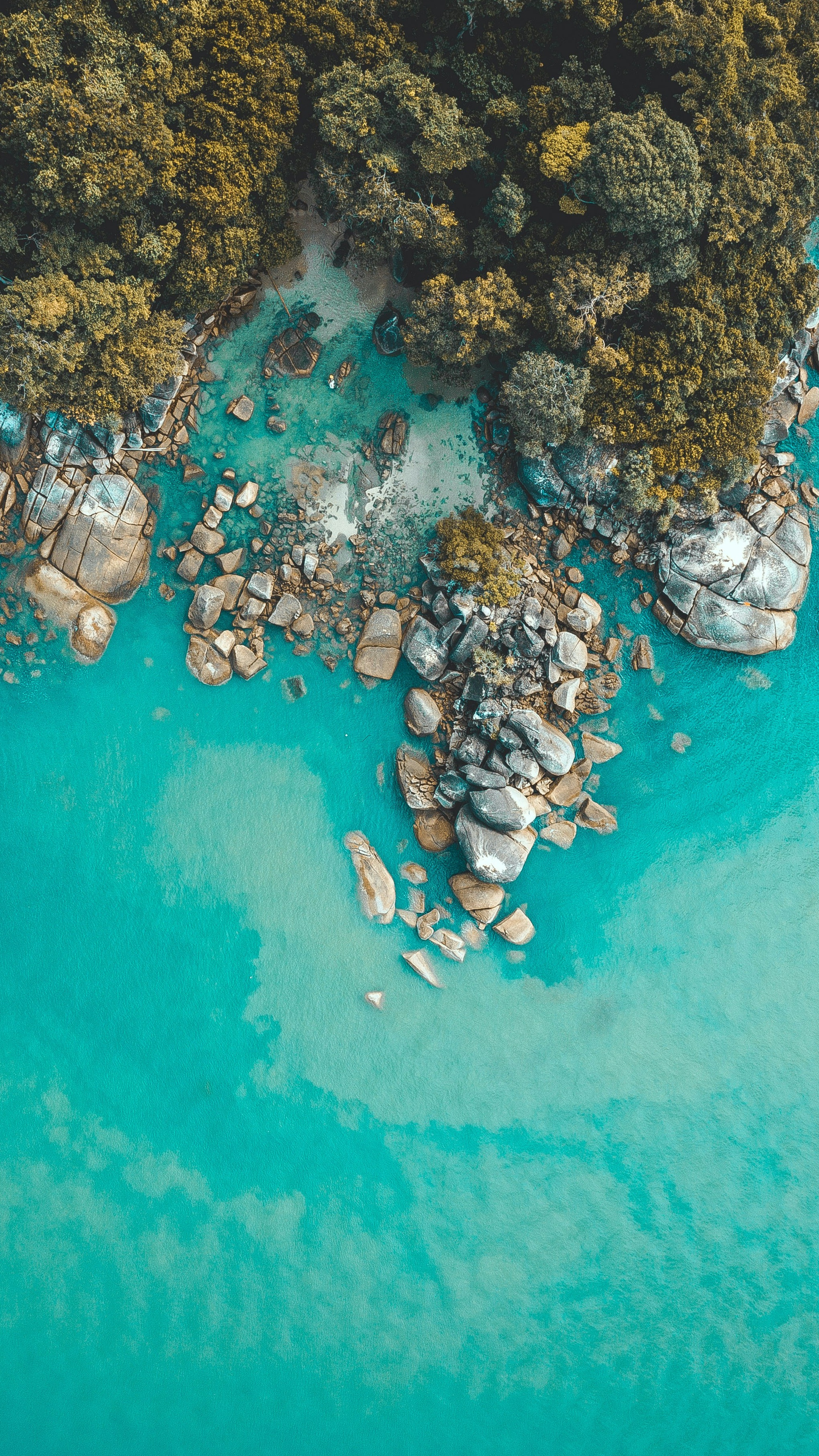 Wallpapers