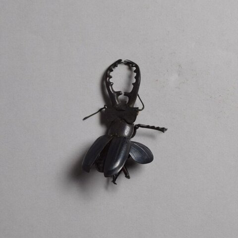 Metal Stag Beetle Sculpture
