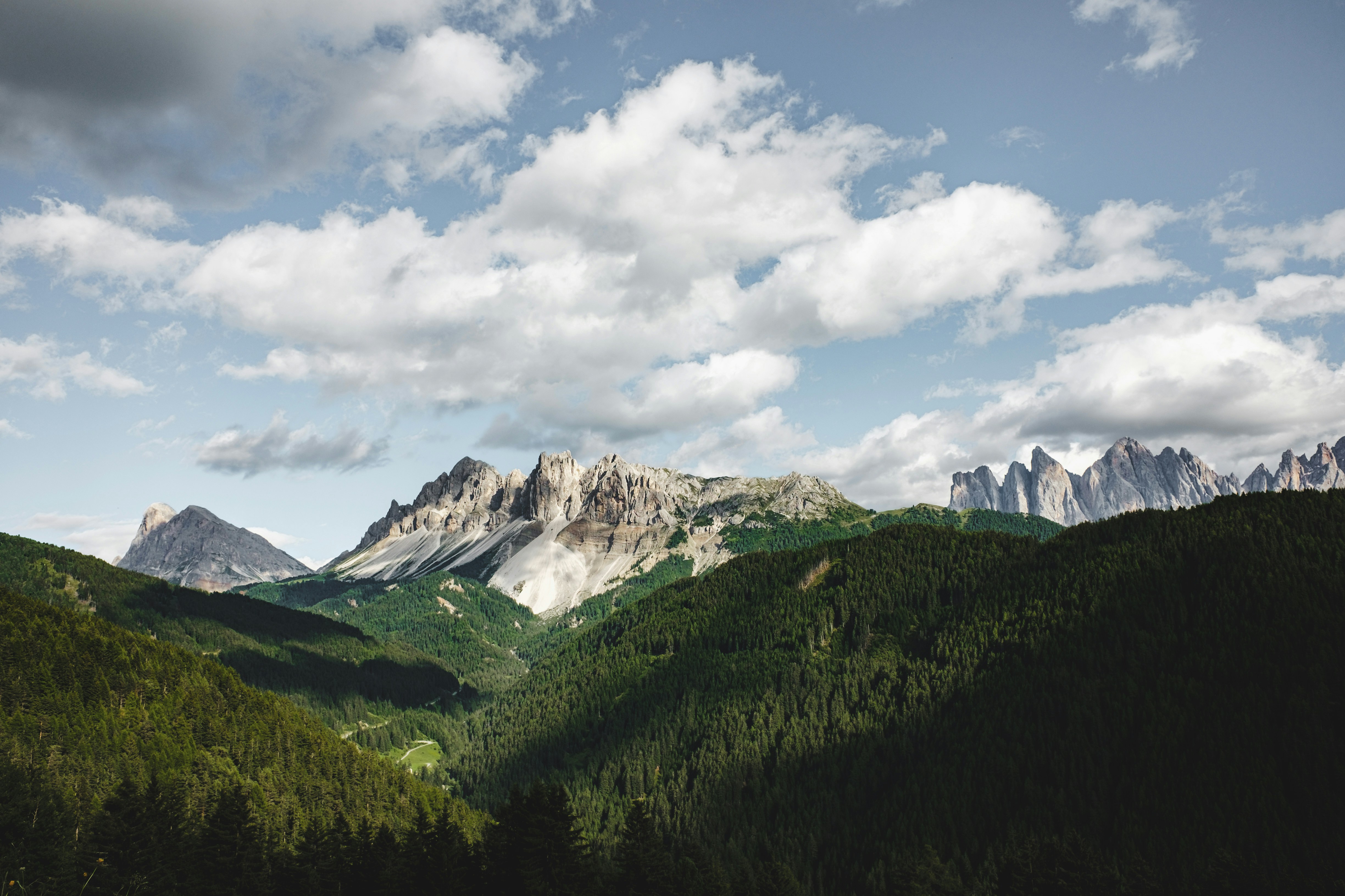 Rocky Mountain Forest Landscape