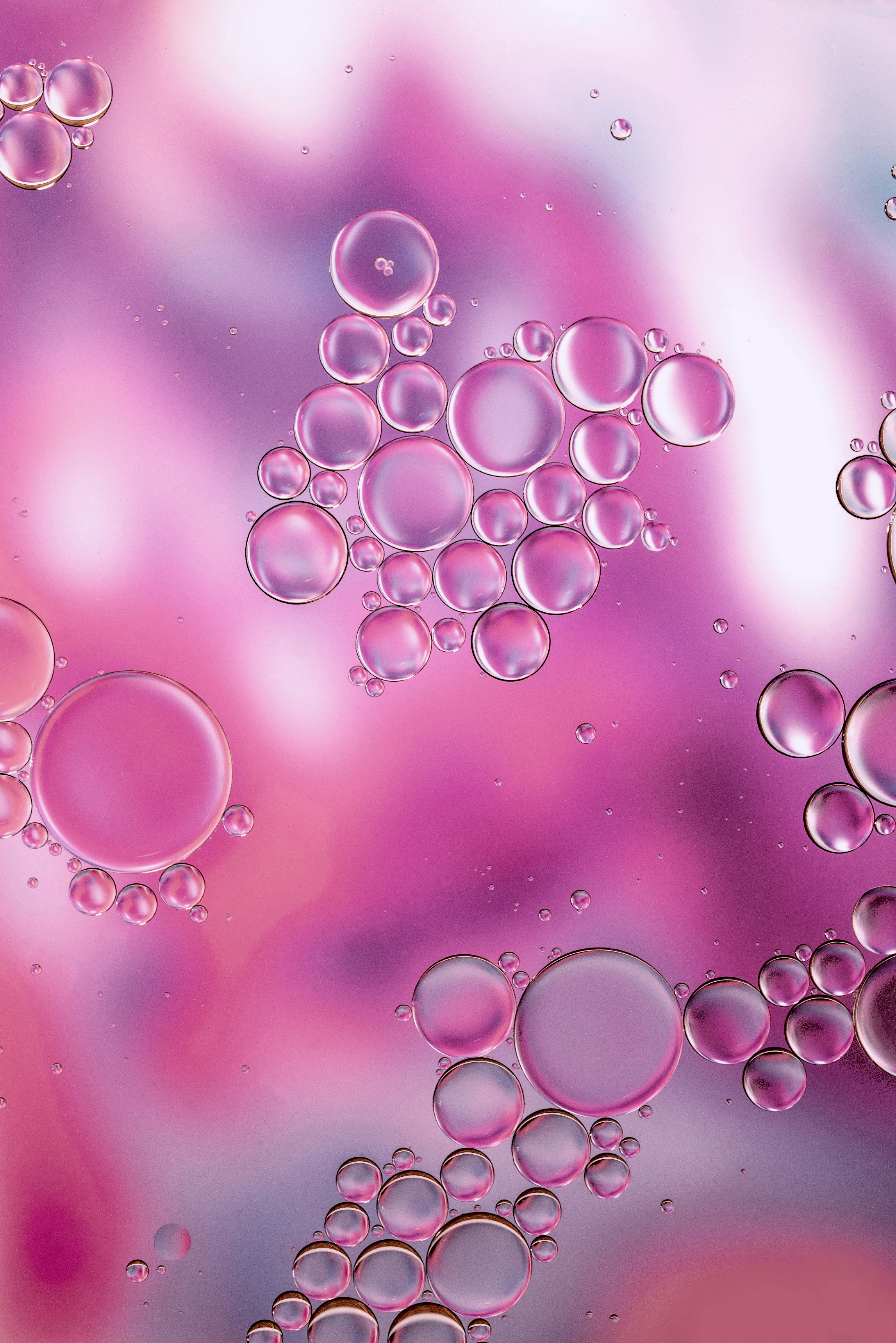 Transparent Bubbles on Pink Background