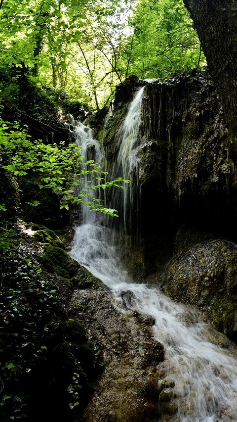 Image 1617651 — Backgrounds