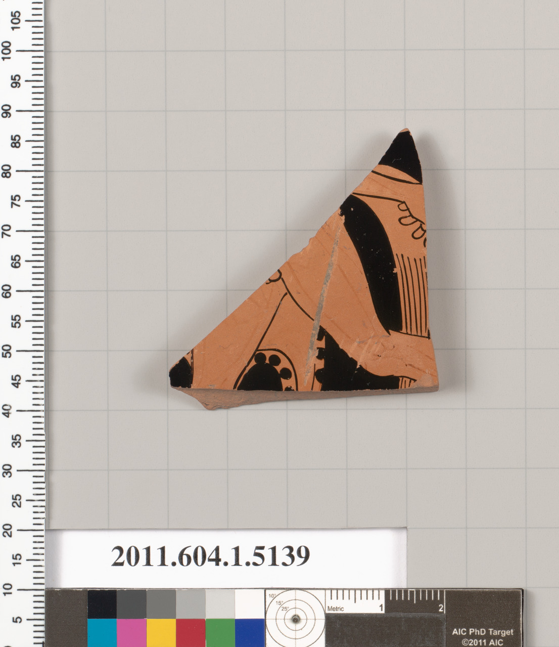 Black Figure Pottery Fragment
