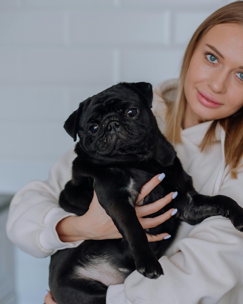 Woman Holding Black Pug Dog