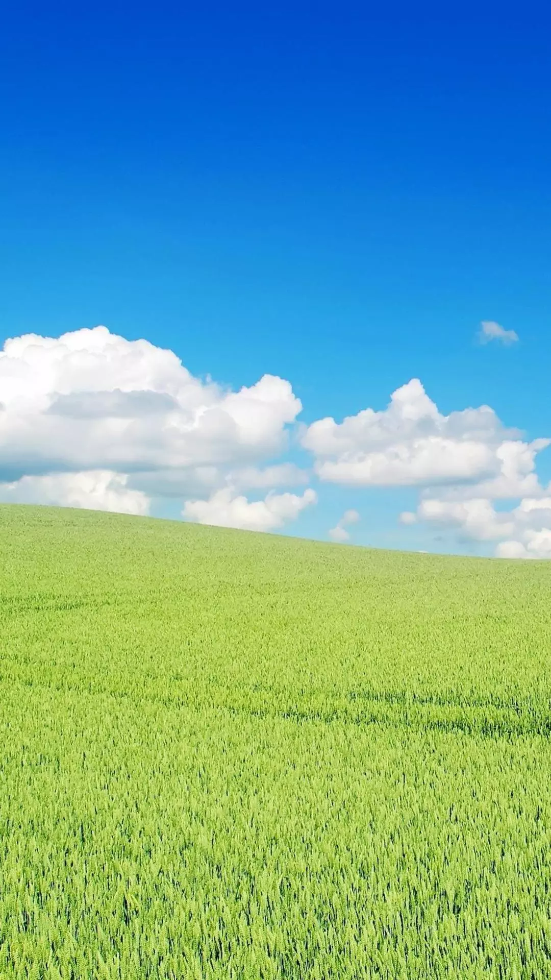 Wallpapers